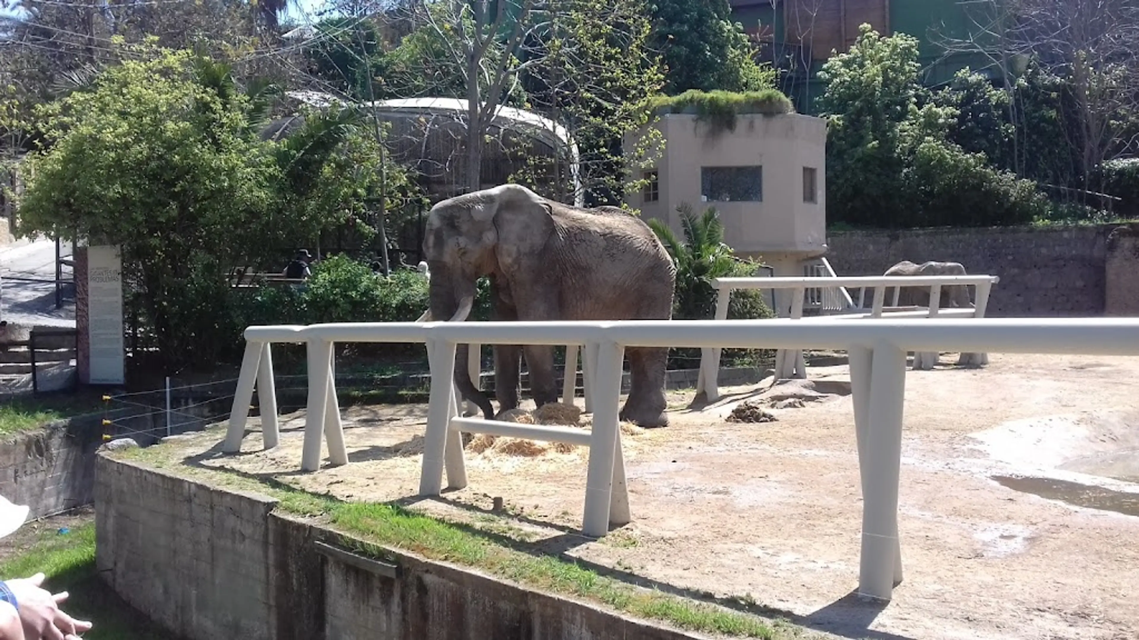 Parque Metropolitano