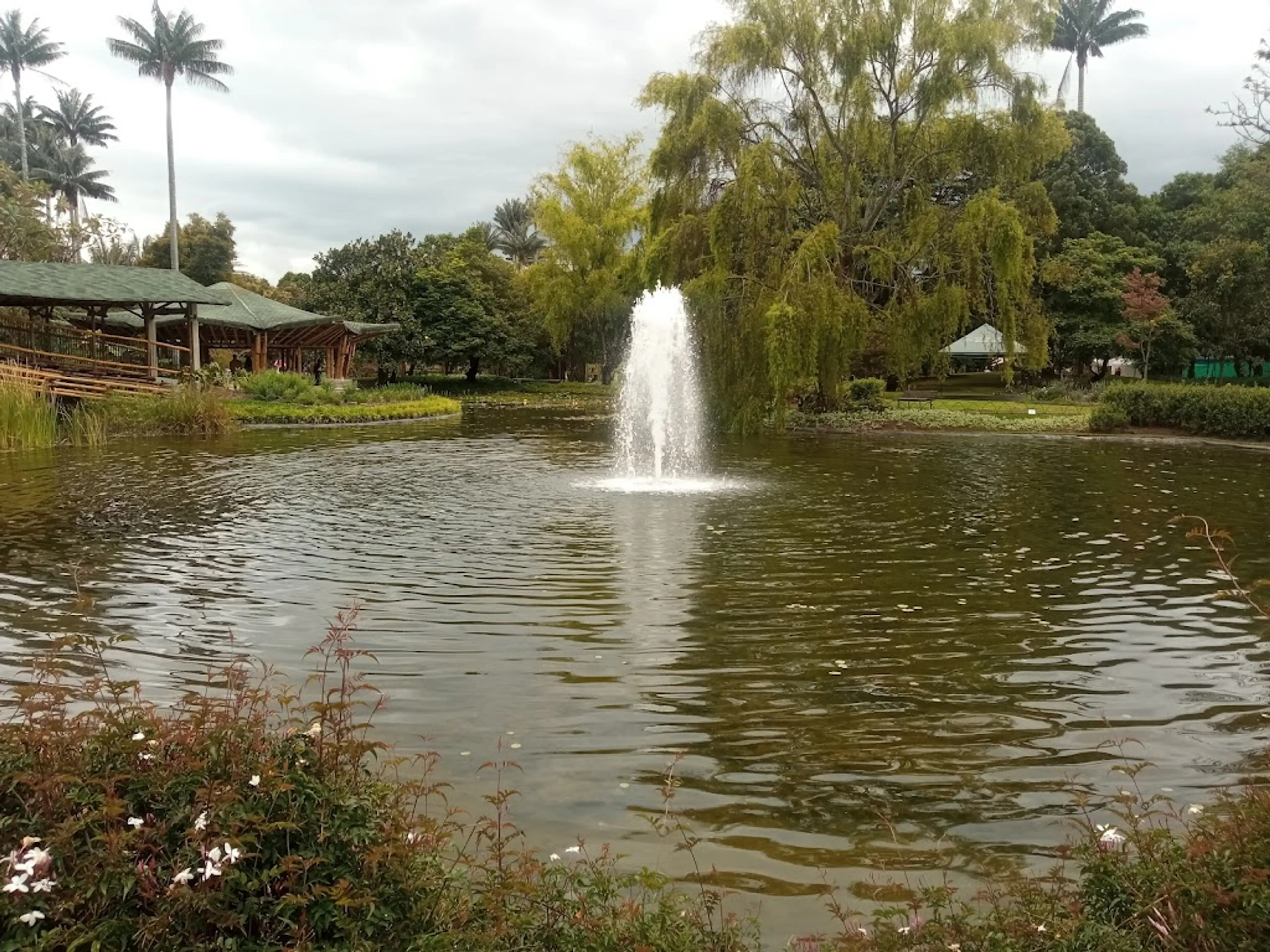 Bogota Botanical Garden