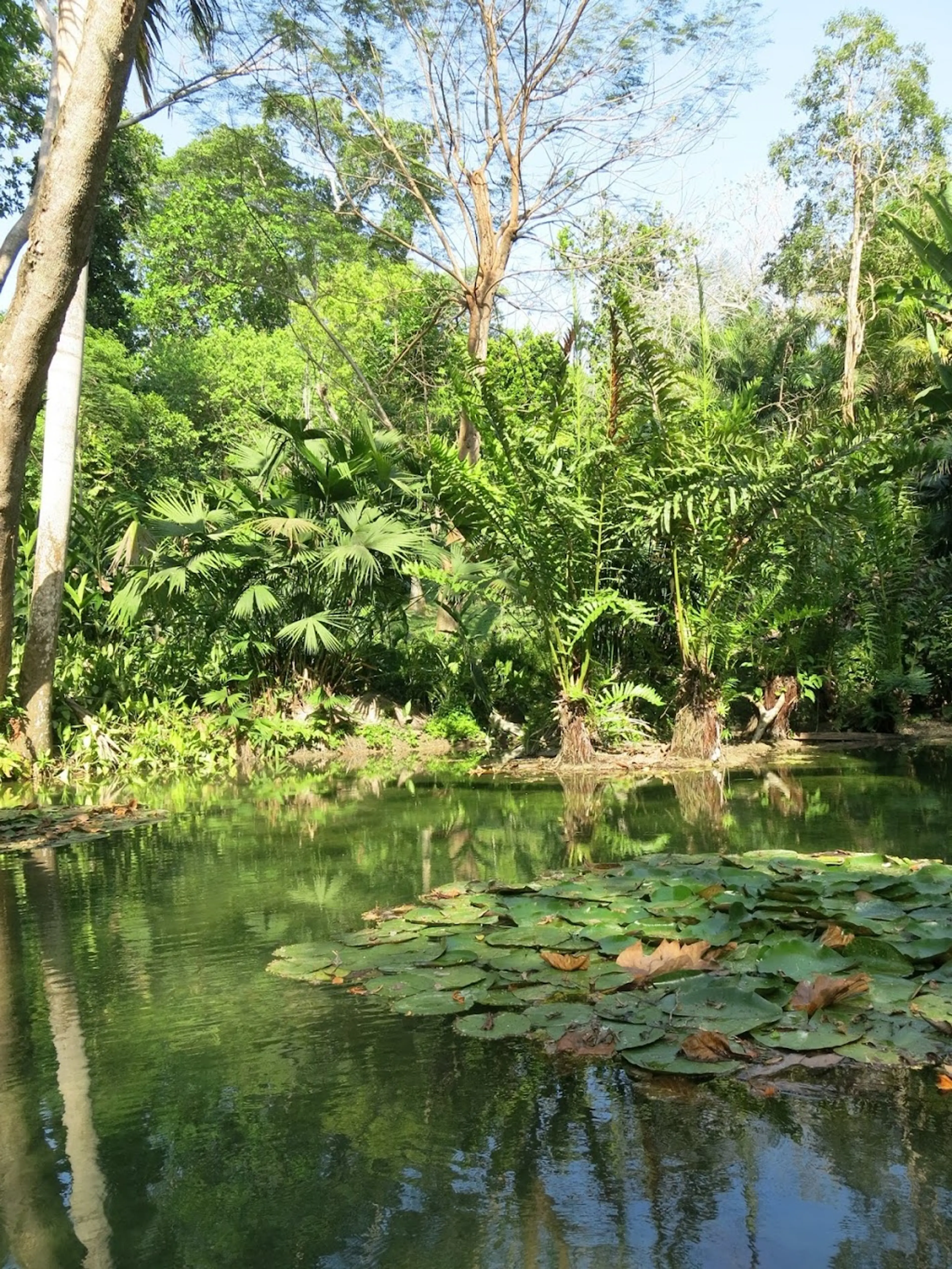 Cartagena Botanical Garden