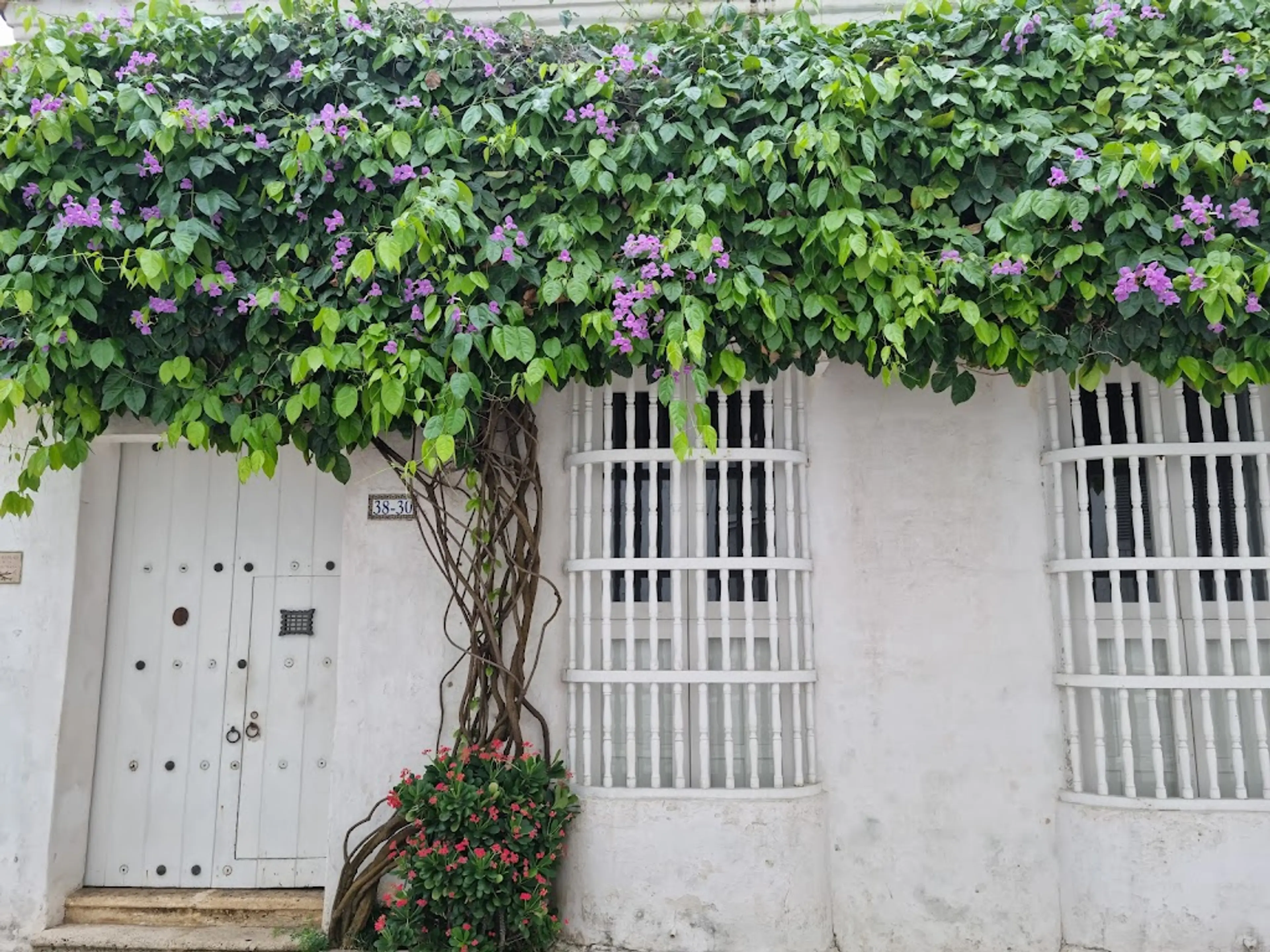 Old City