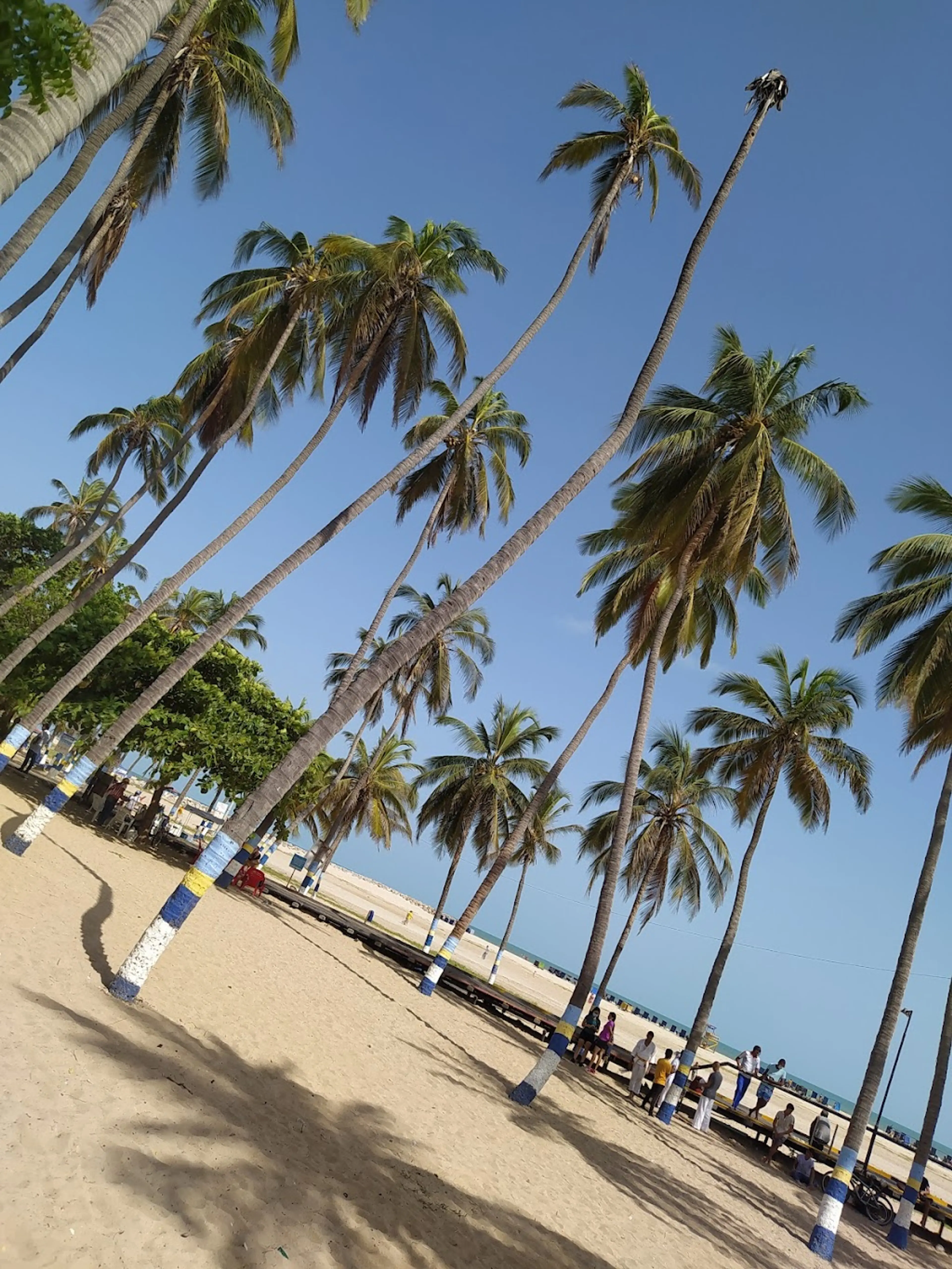 Beach in Riohacha