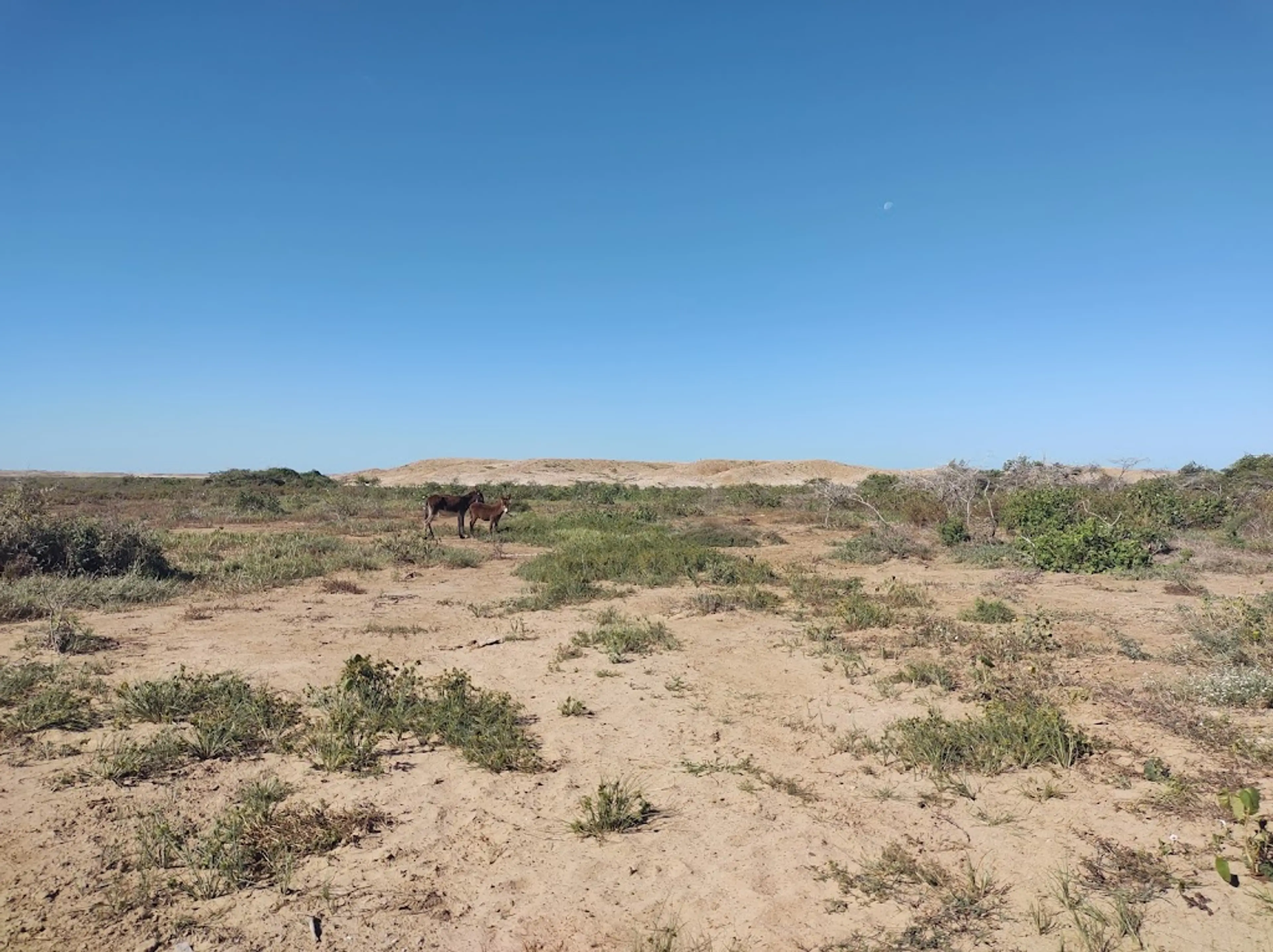 Desert of La Guajira