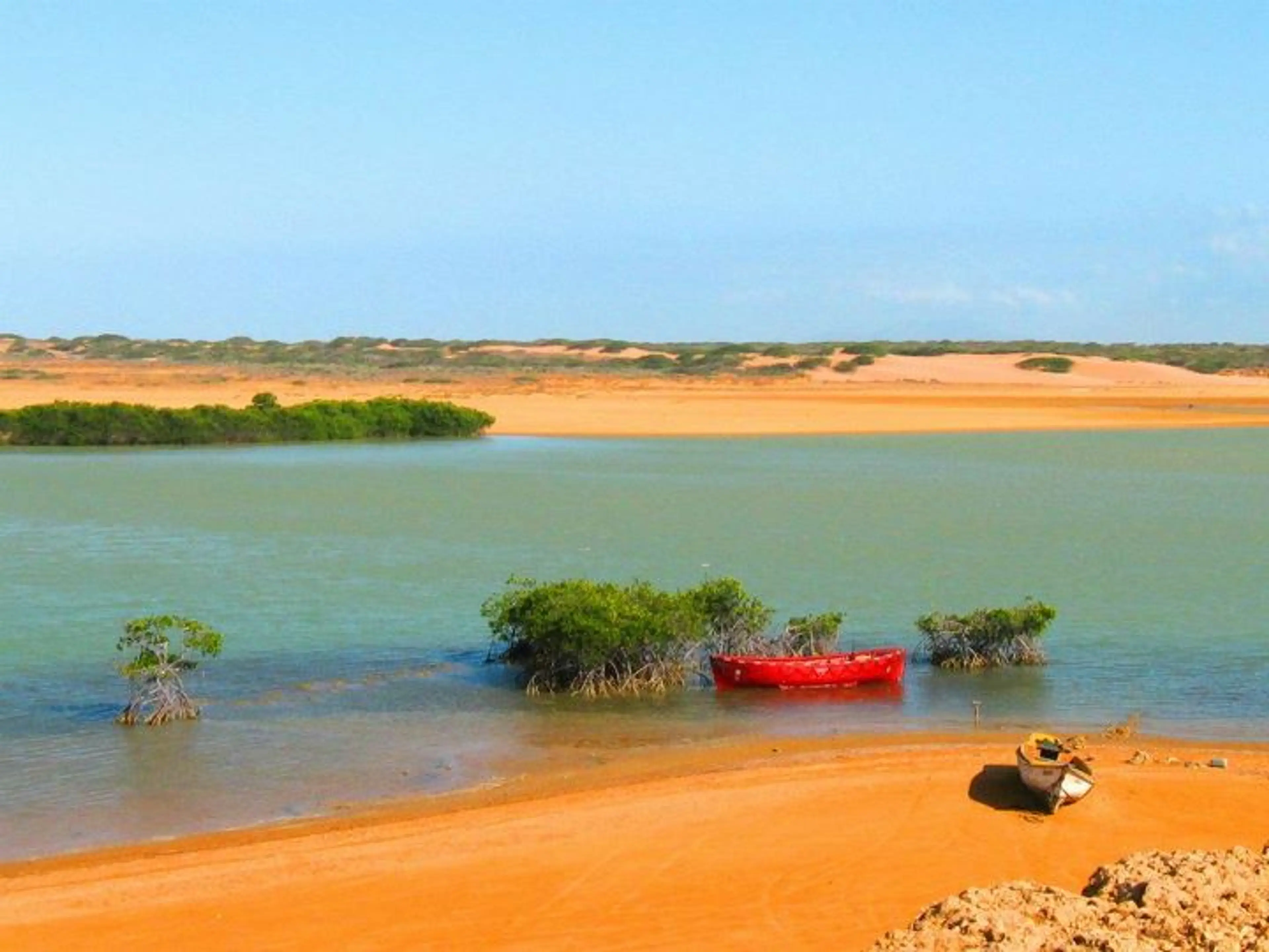 La Guajira Mangroves