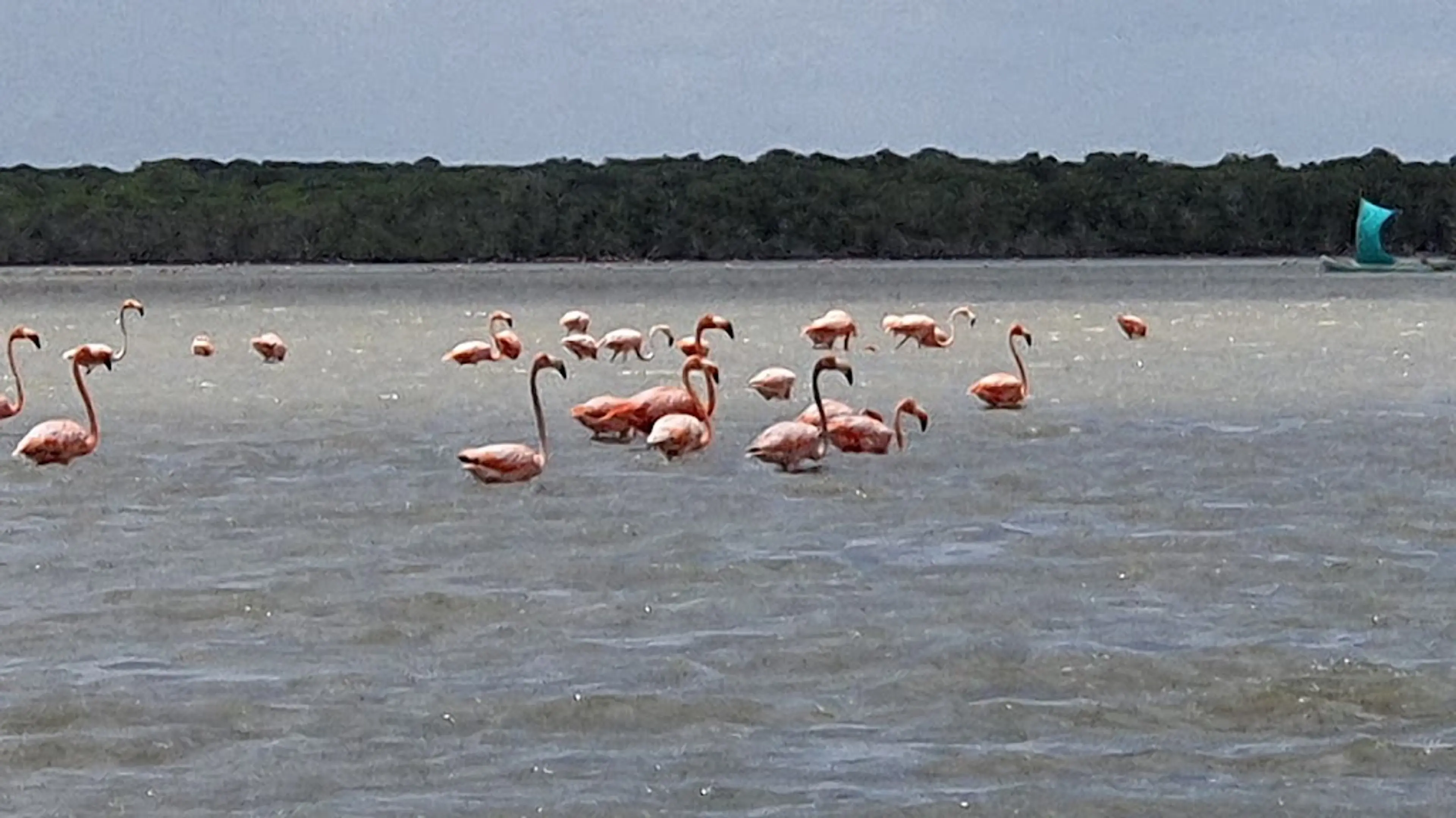 Los Flamencos Natural Park