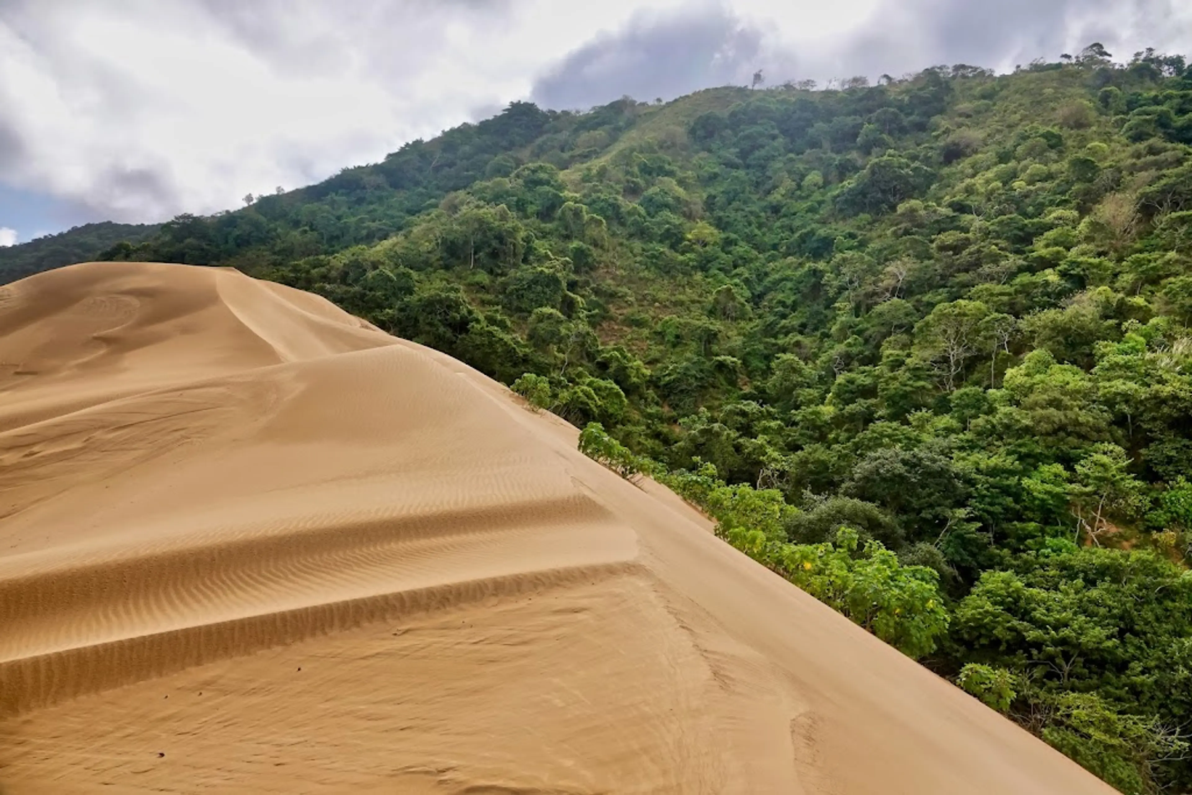 Macuira National Park
