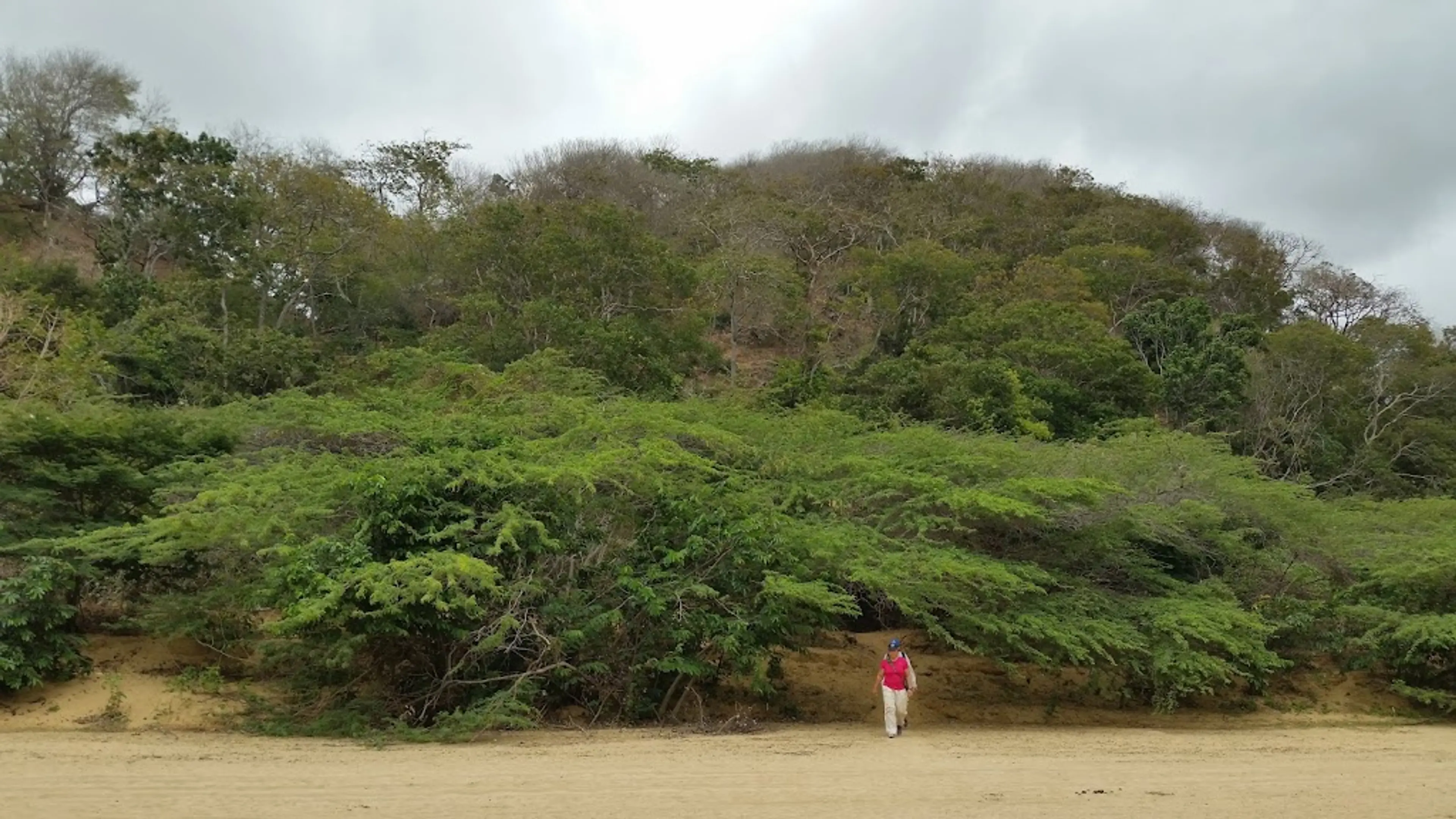 Mangroves Boat Tour