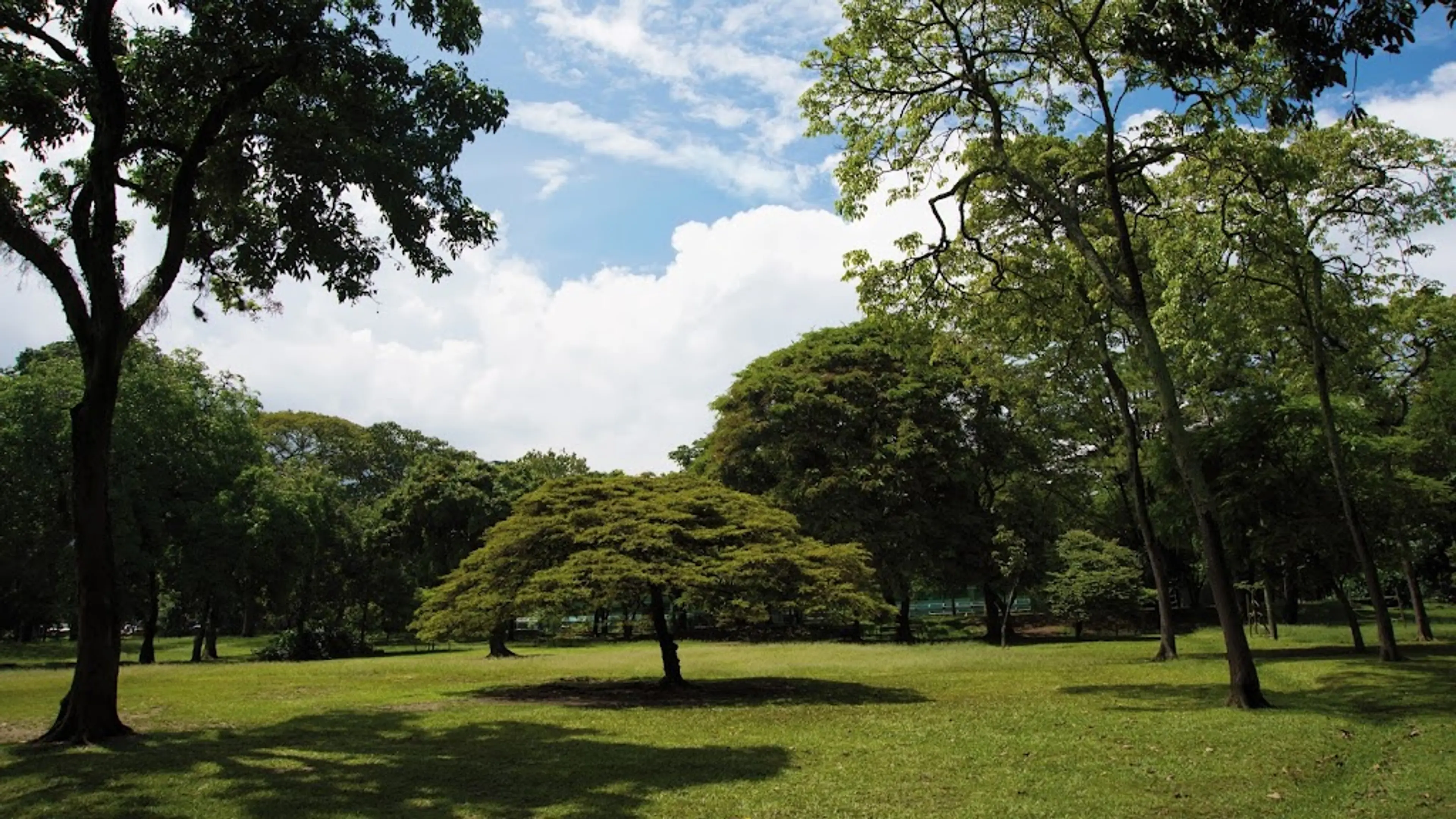 Botanical Garden of Medellin