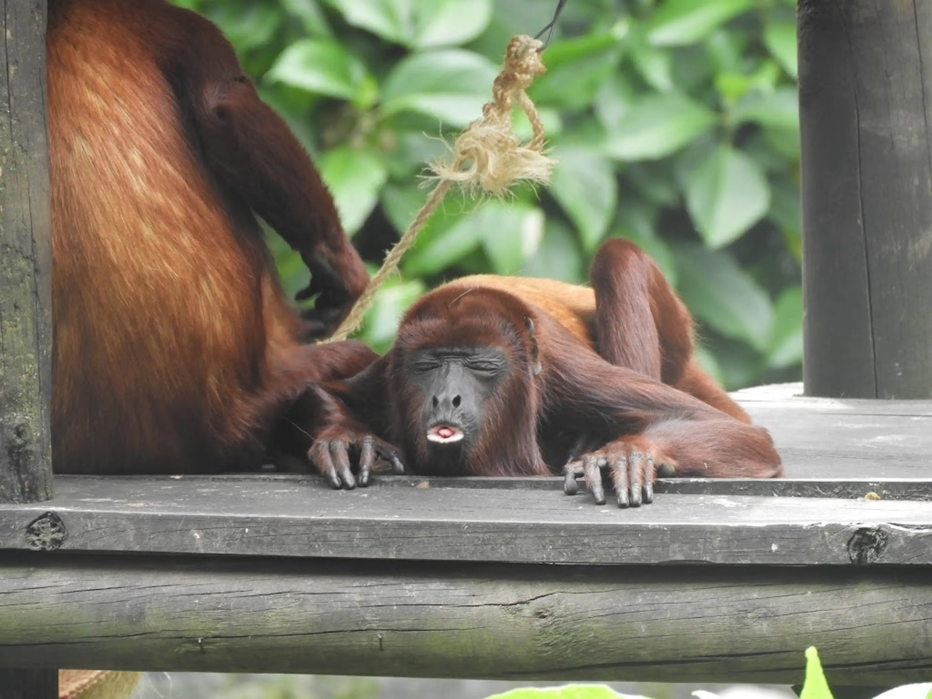 Santa Fe Zoo
