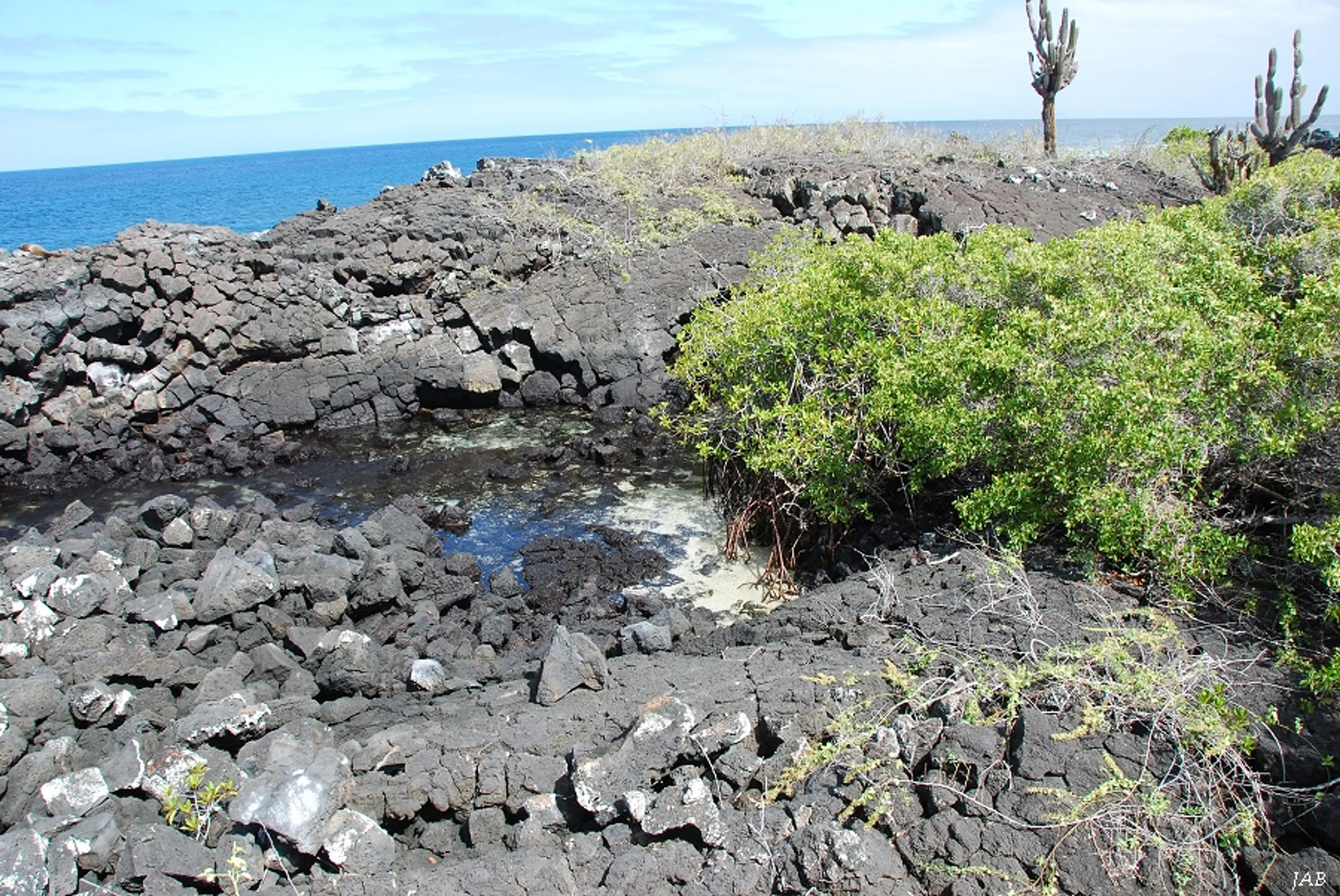 Floreana Island Lava Tunnels