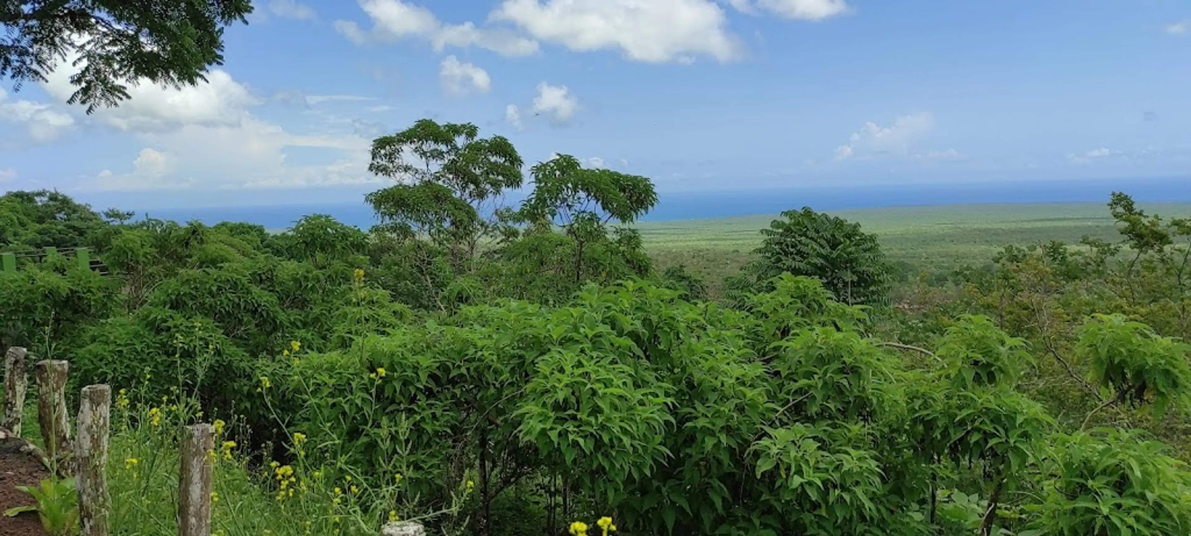 Highlands of Santa Cruz Island