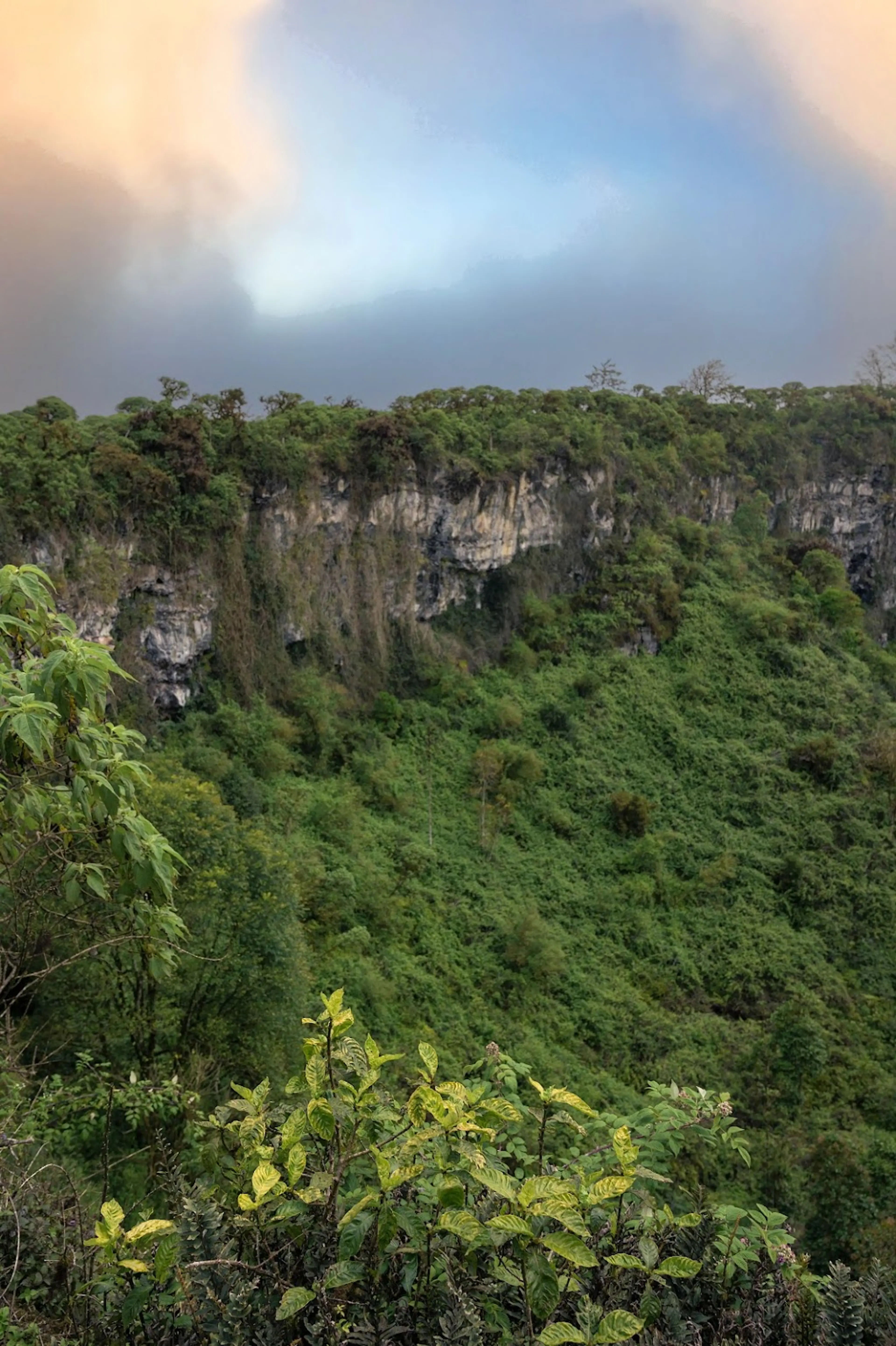 Lava fields of Fernandina Island