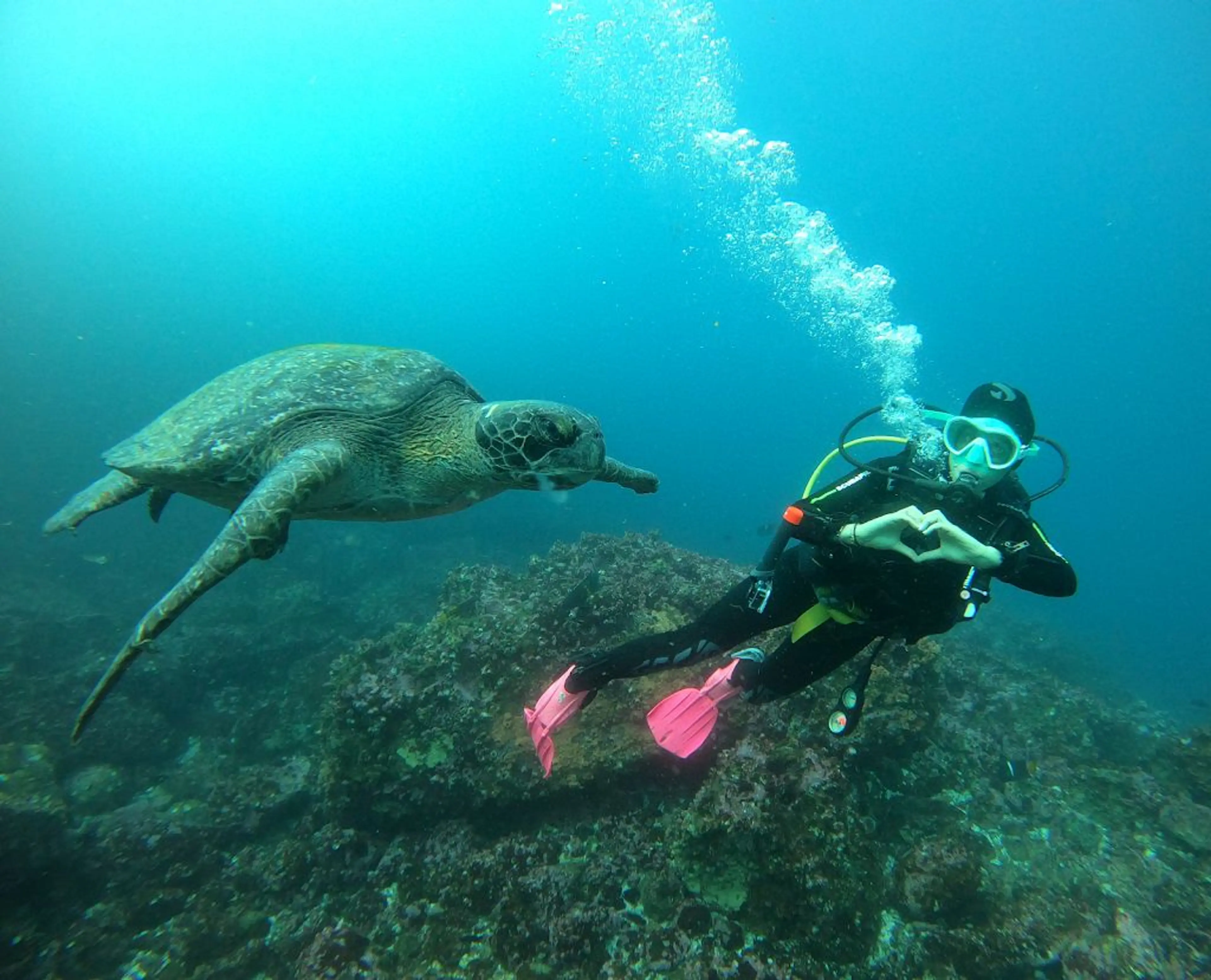 Snorkeling