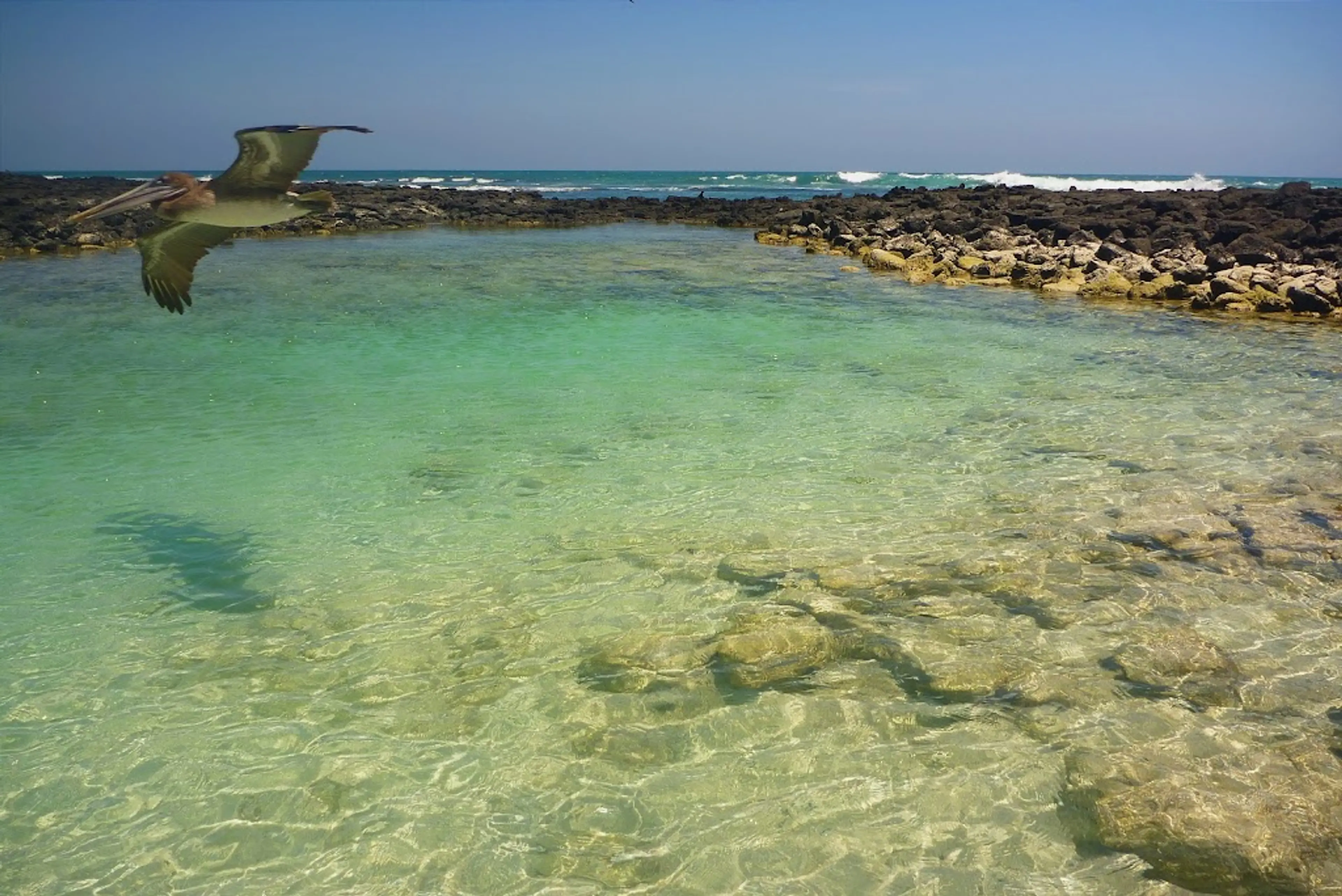 Snorkeling at Tortuga Bay