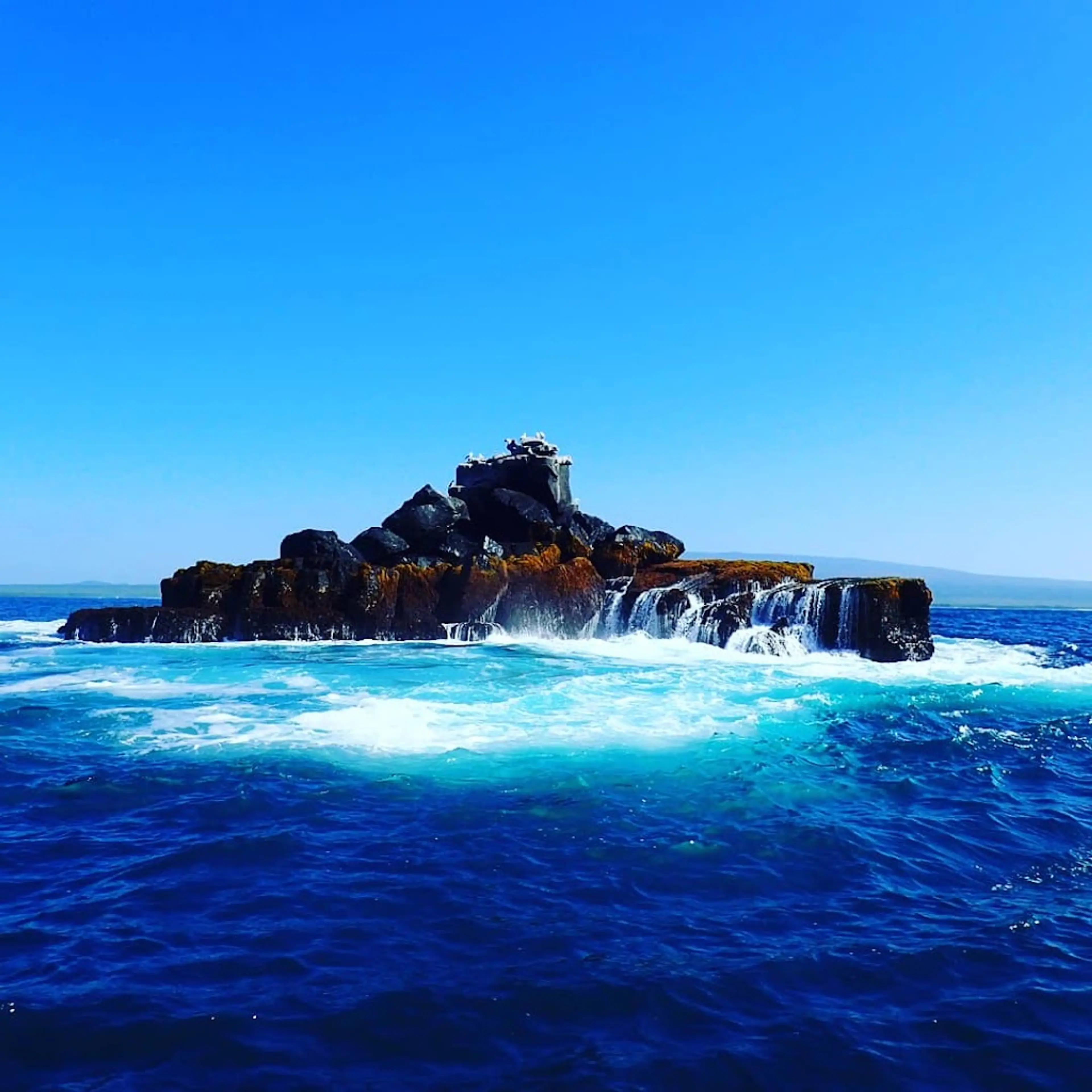 Snorkeling off Isabela Island