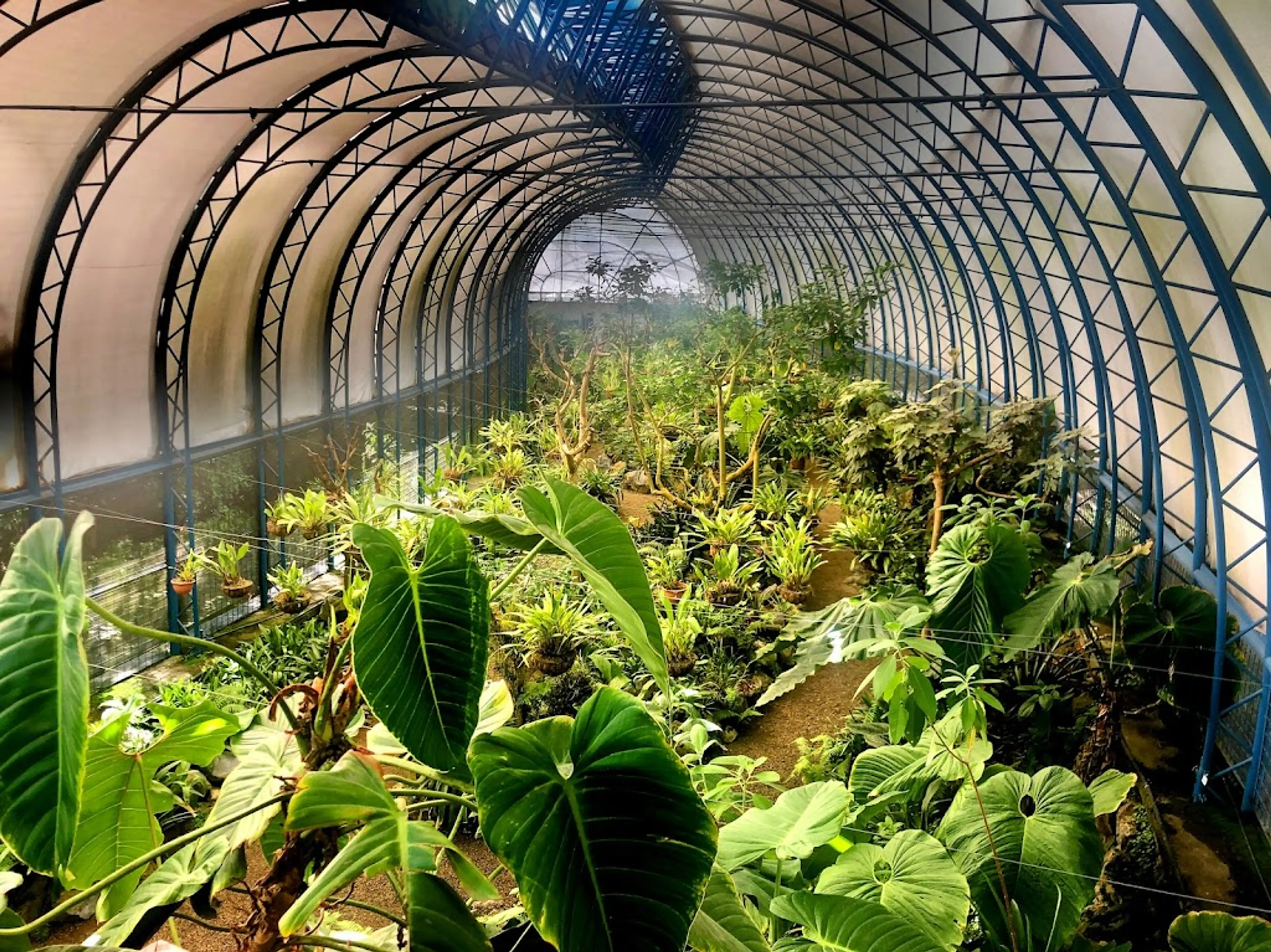 Quito Botanical Garden