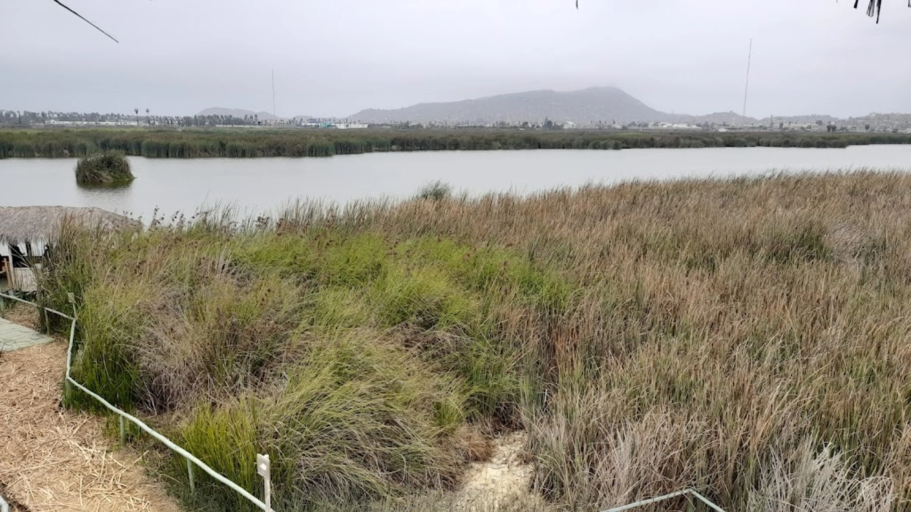 Pantanos de Villa Wildlife Refuge