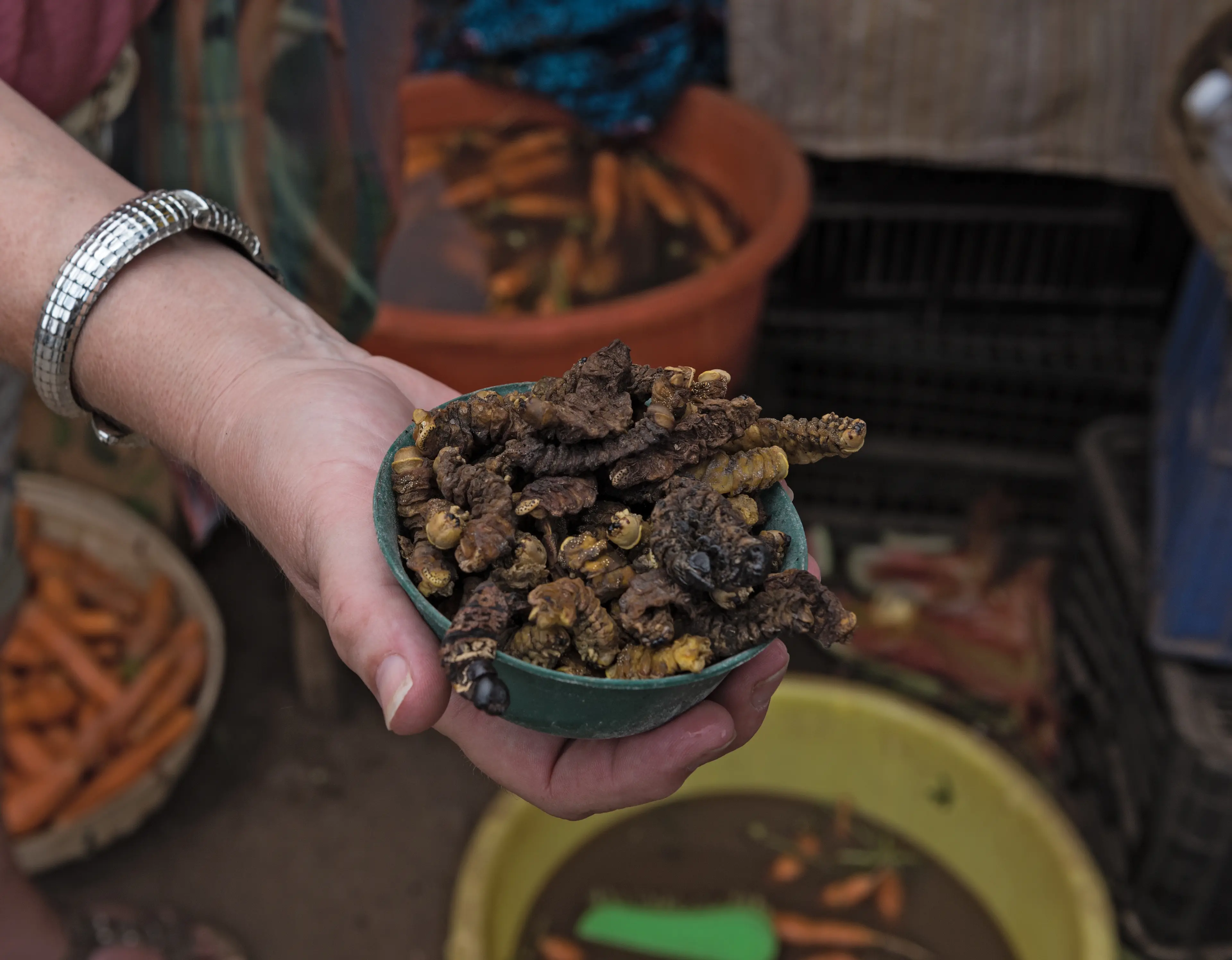 Mopane Worms