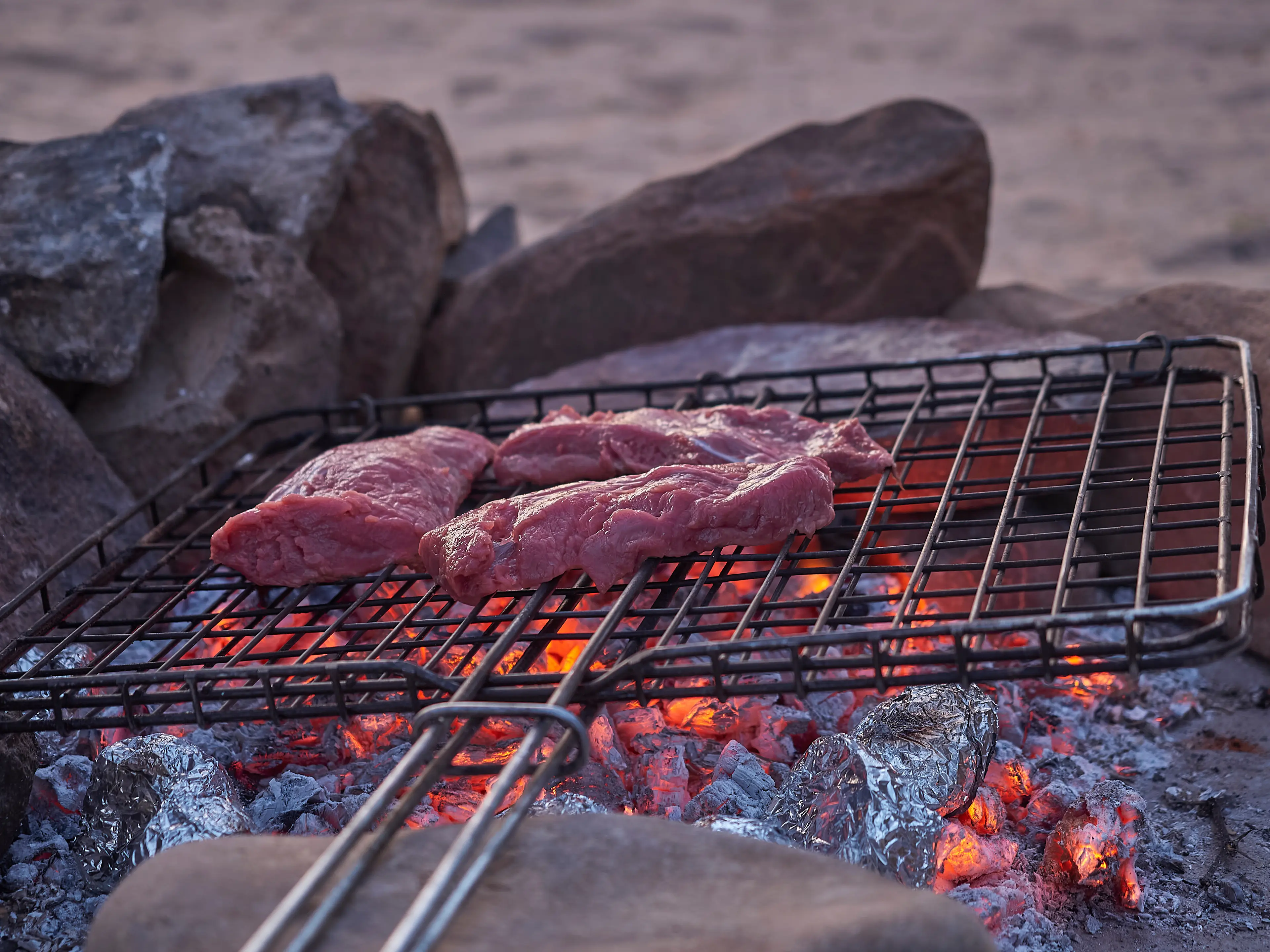 Game Meat