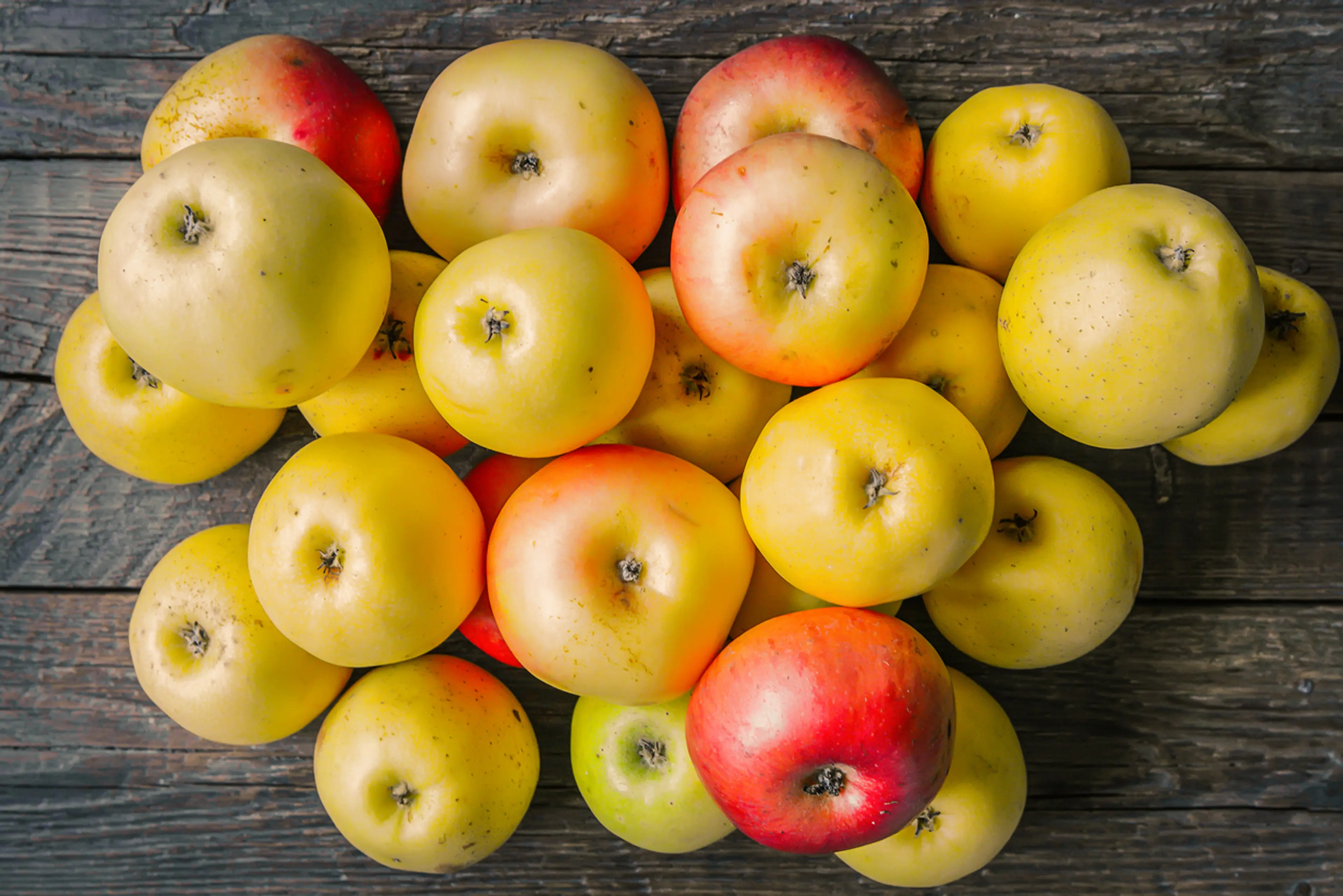 Guba apples