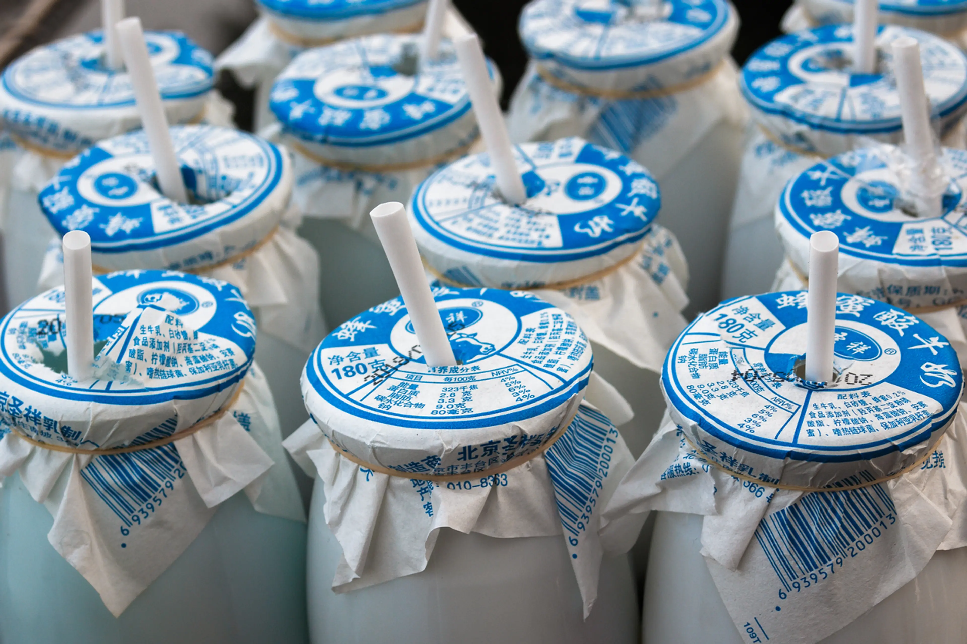Chinese Yogurt