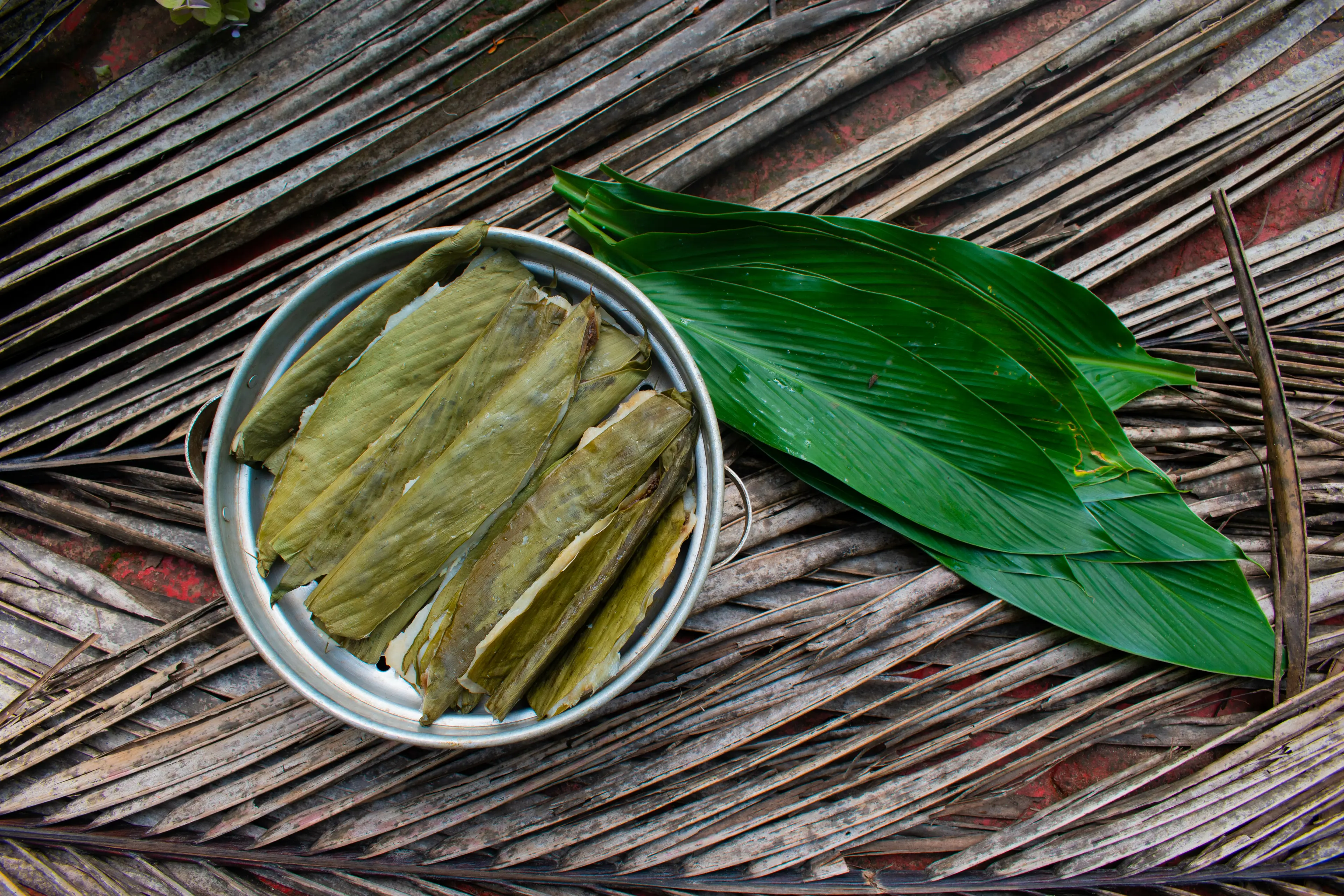 Patoleo
