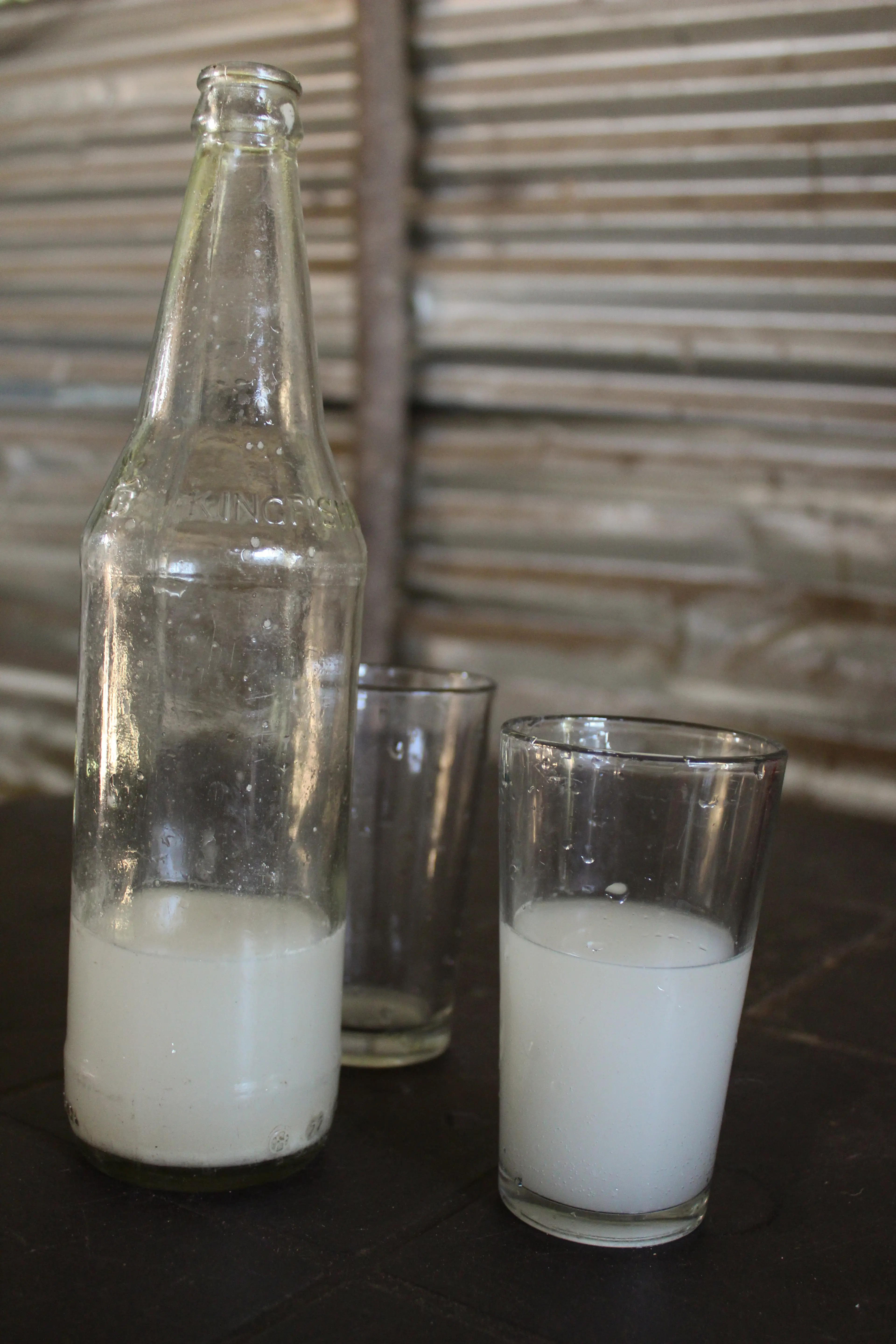 Toddy