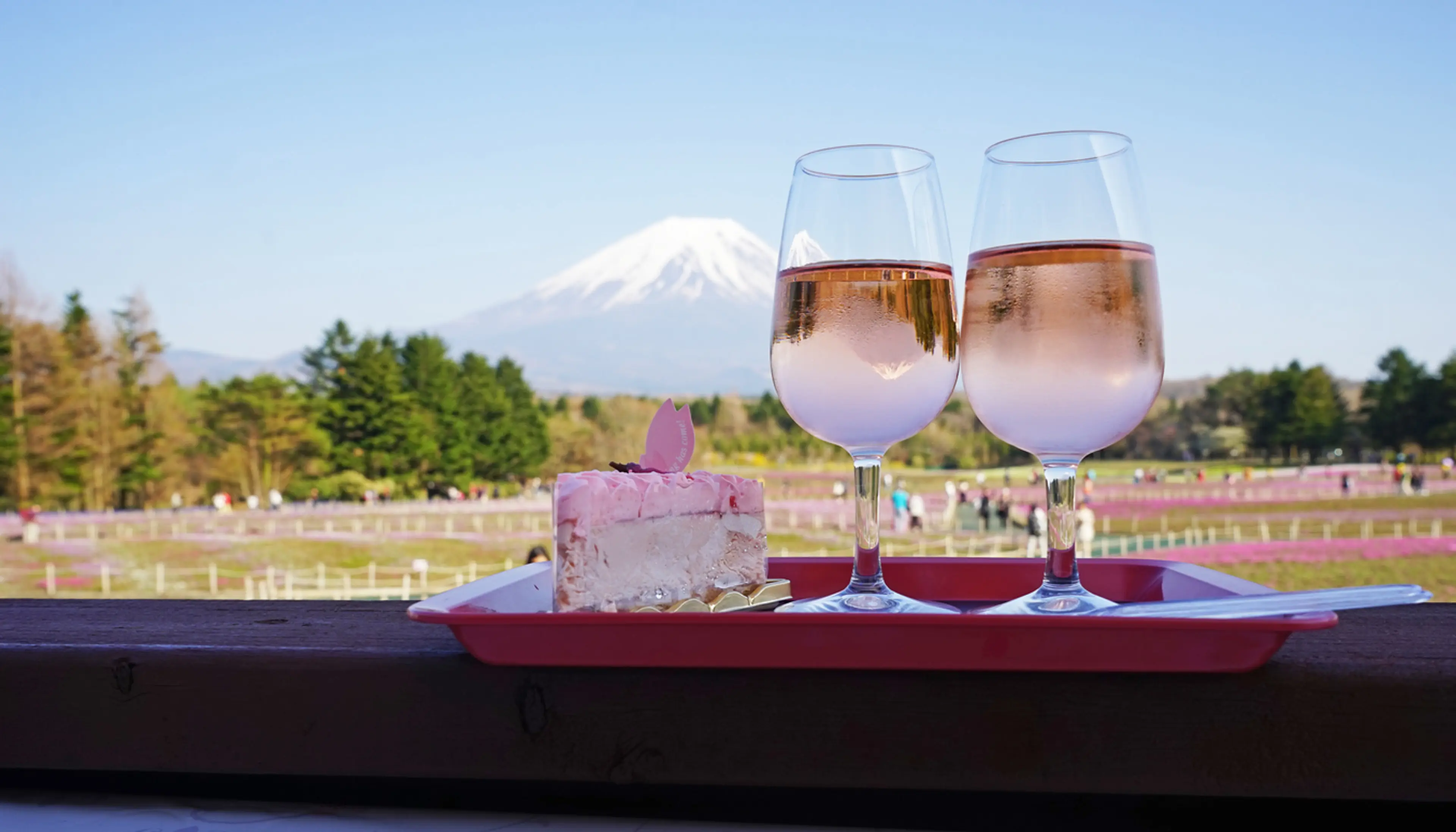 Yamanashi Wine