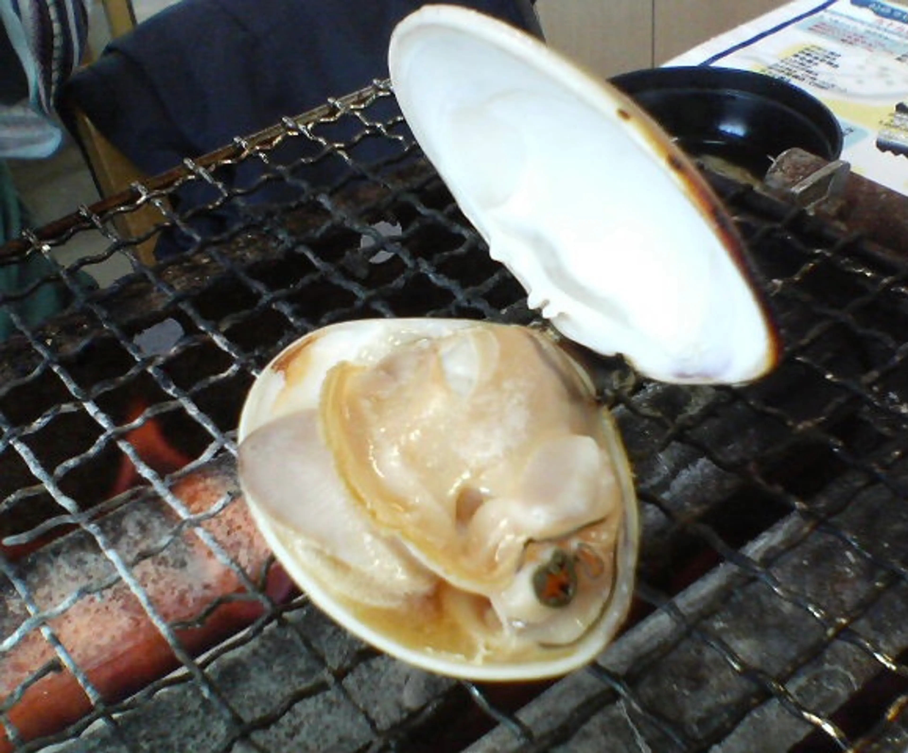 Hamaguri Clams