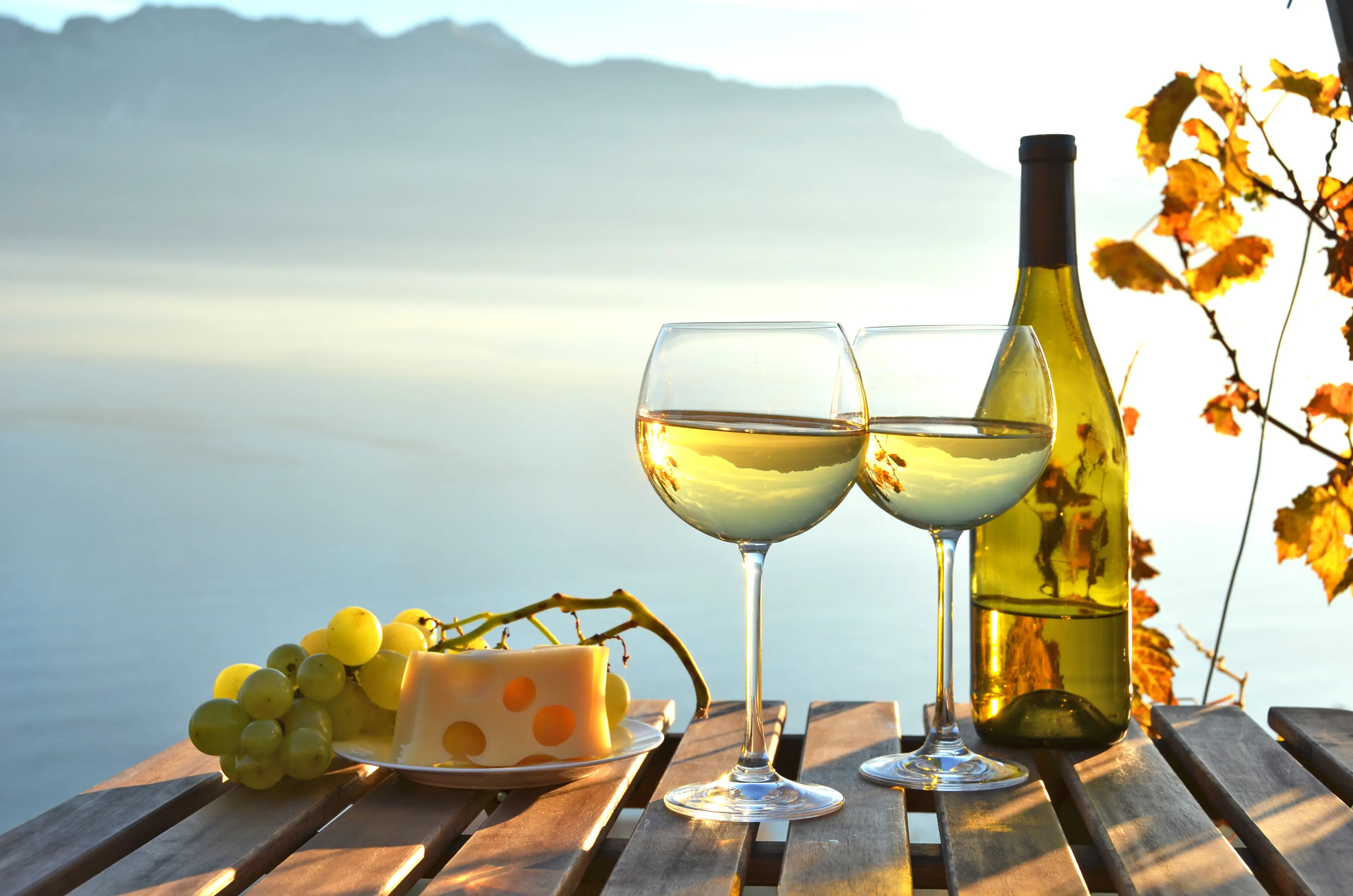 White Wine