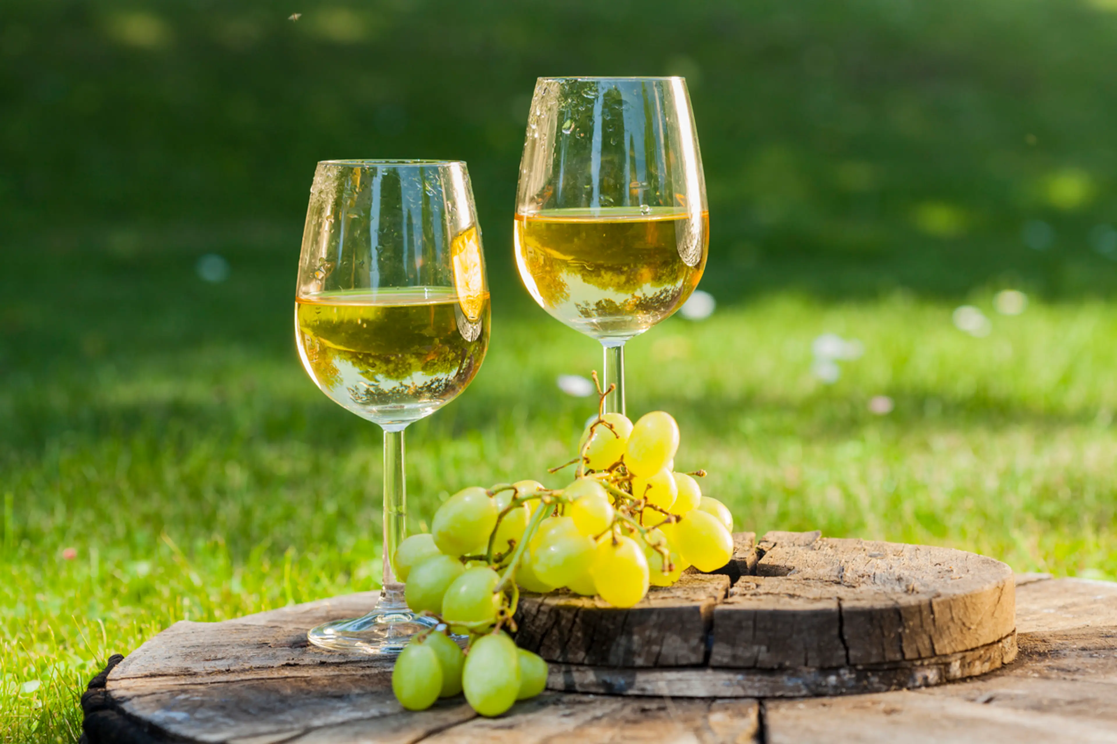 Rkatsiteli Wine