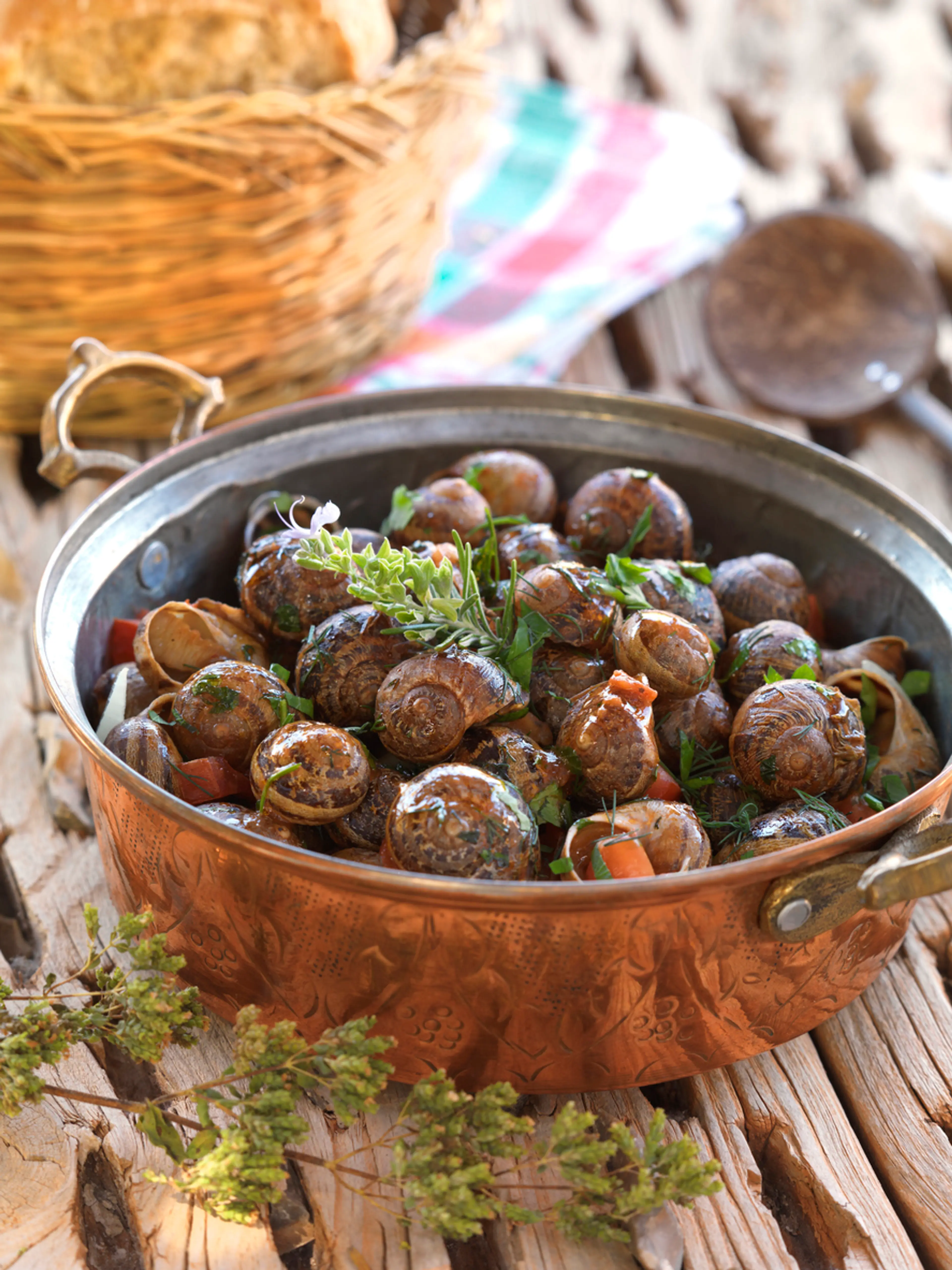 Chochlioi Boubouristi