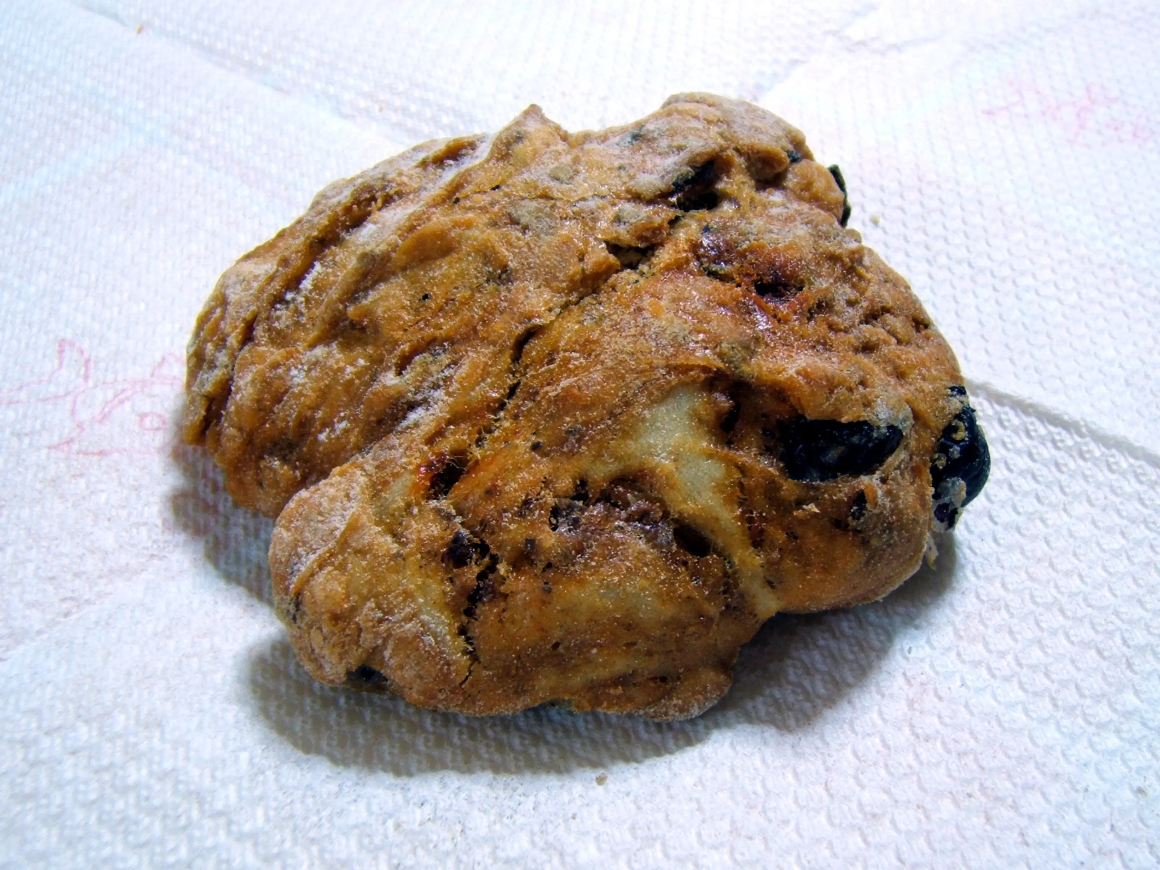 Puccia