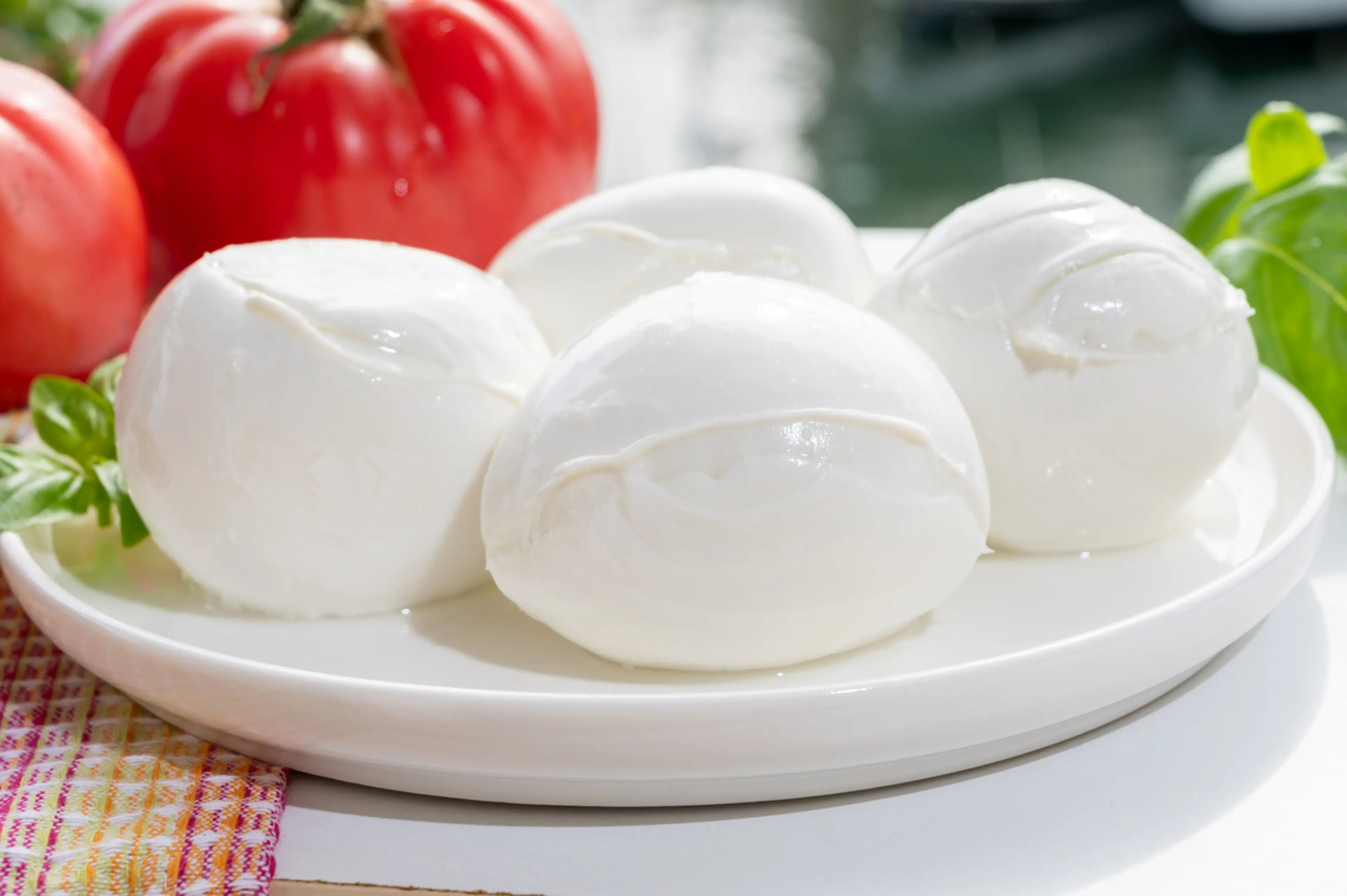 Bufala Mozzarella