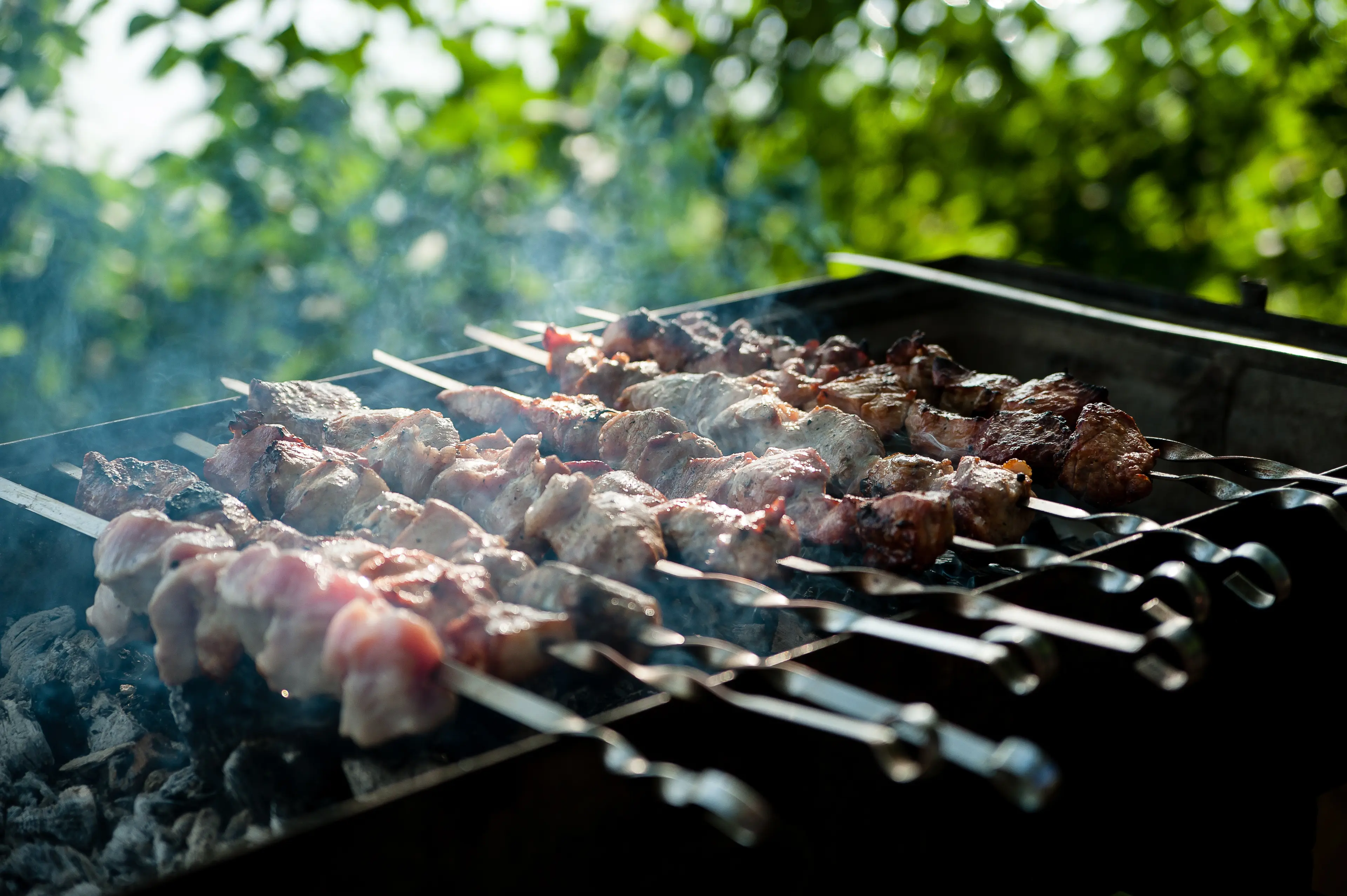 Shashlik