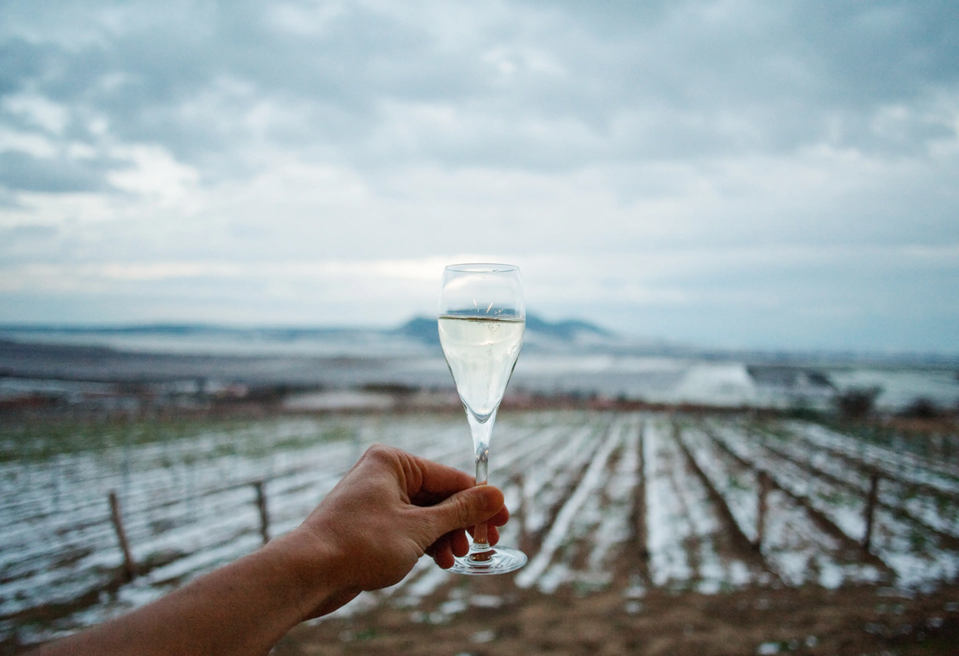 Ice Wine