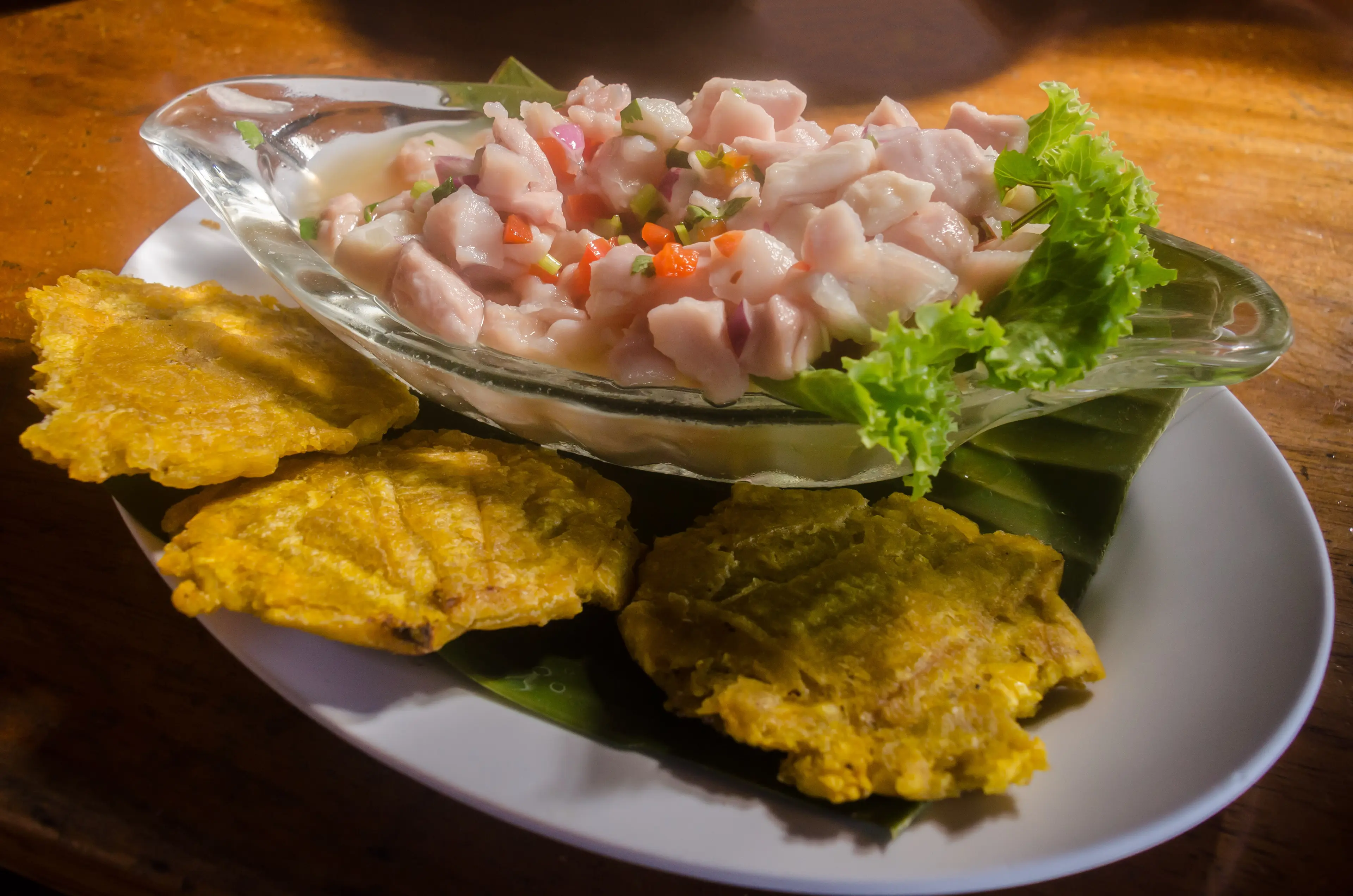 Ceviche Tico