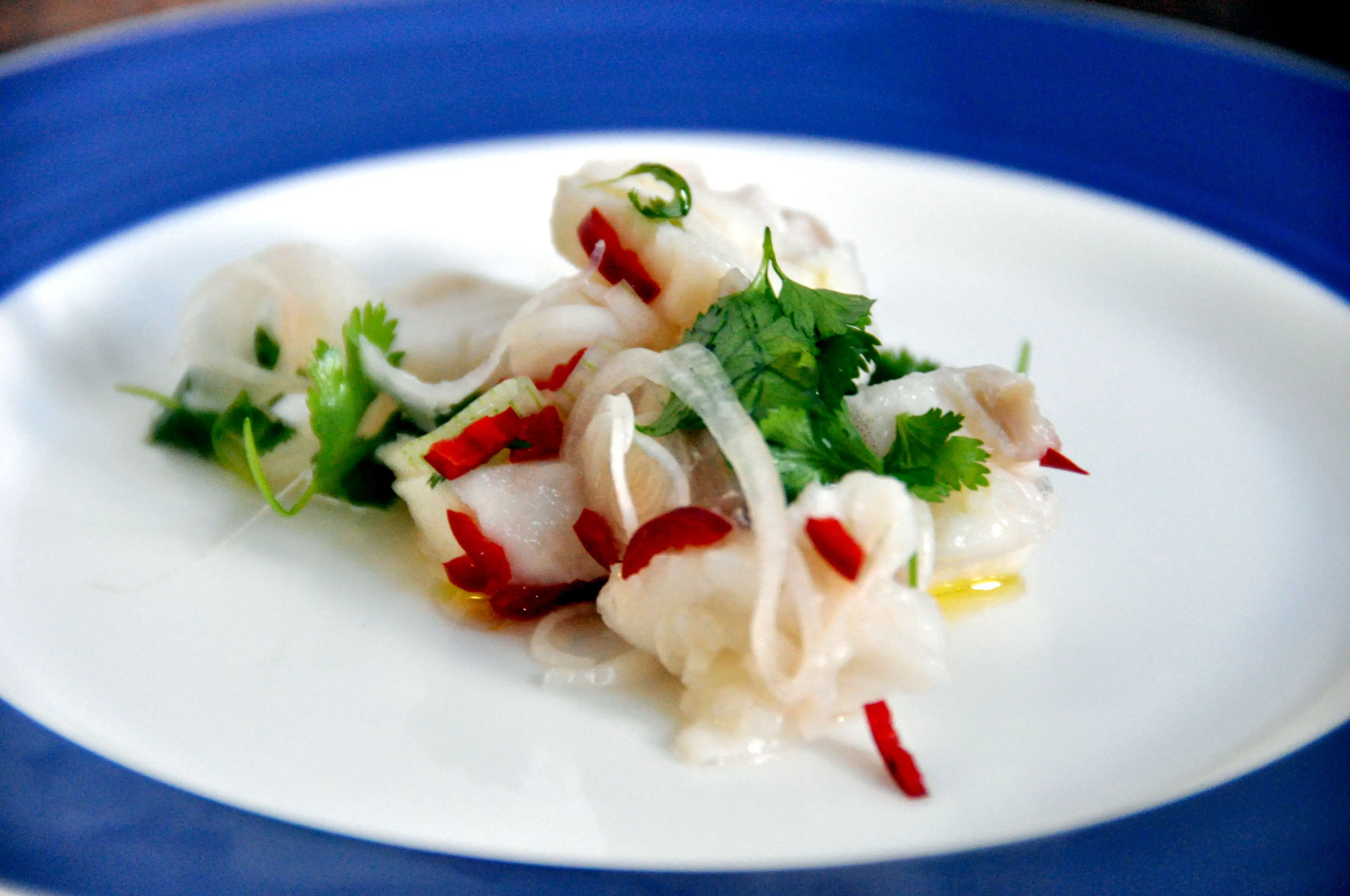 Ceviche Tico