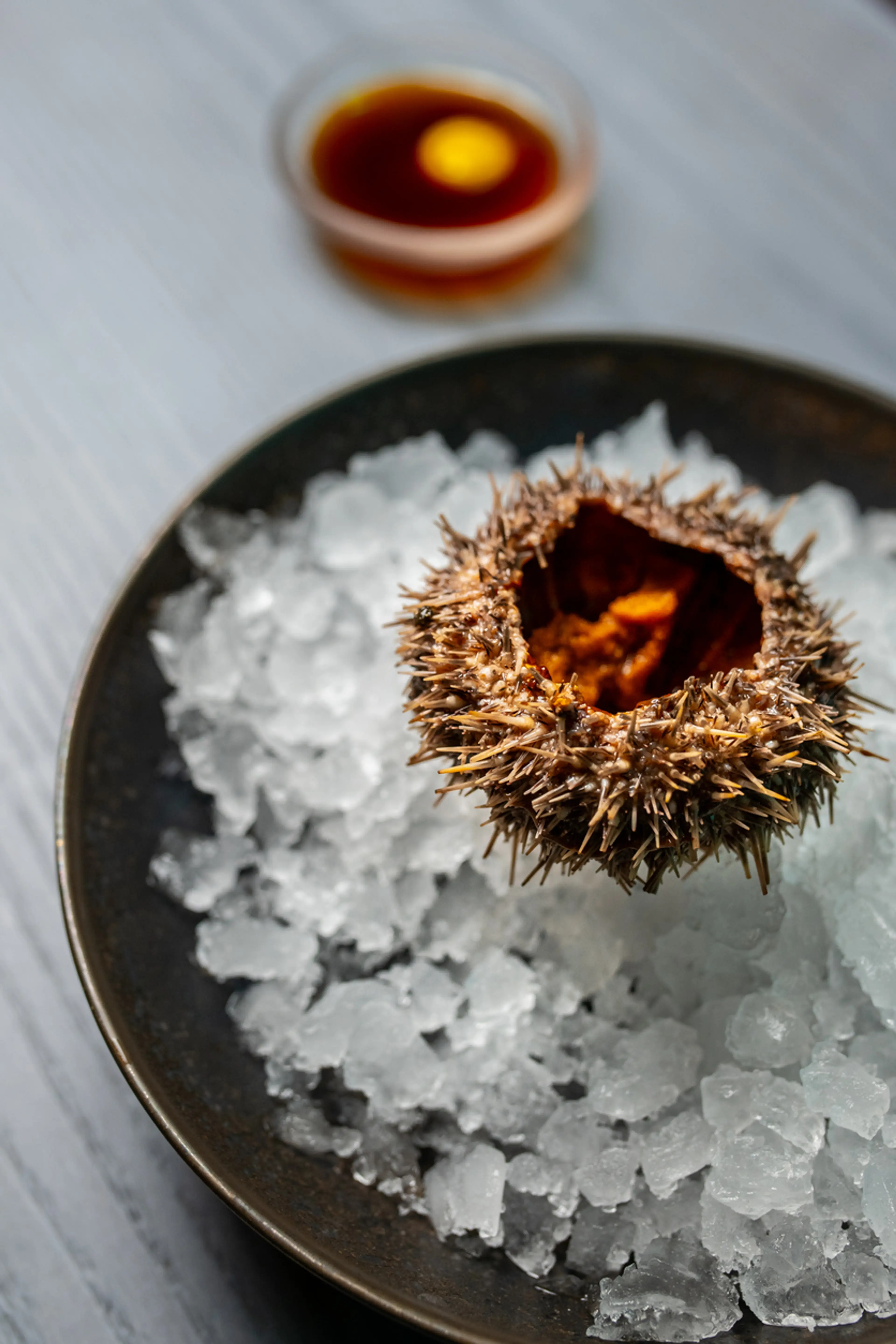 Chilled Sea Urchin