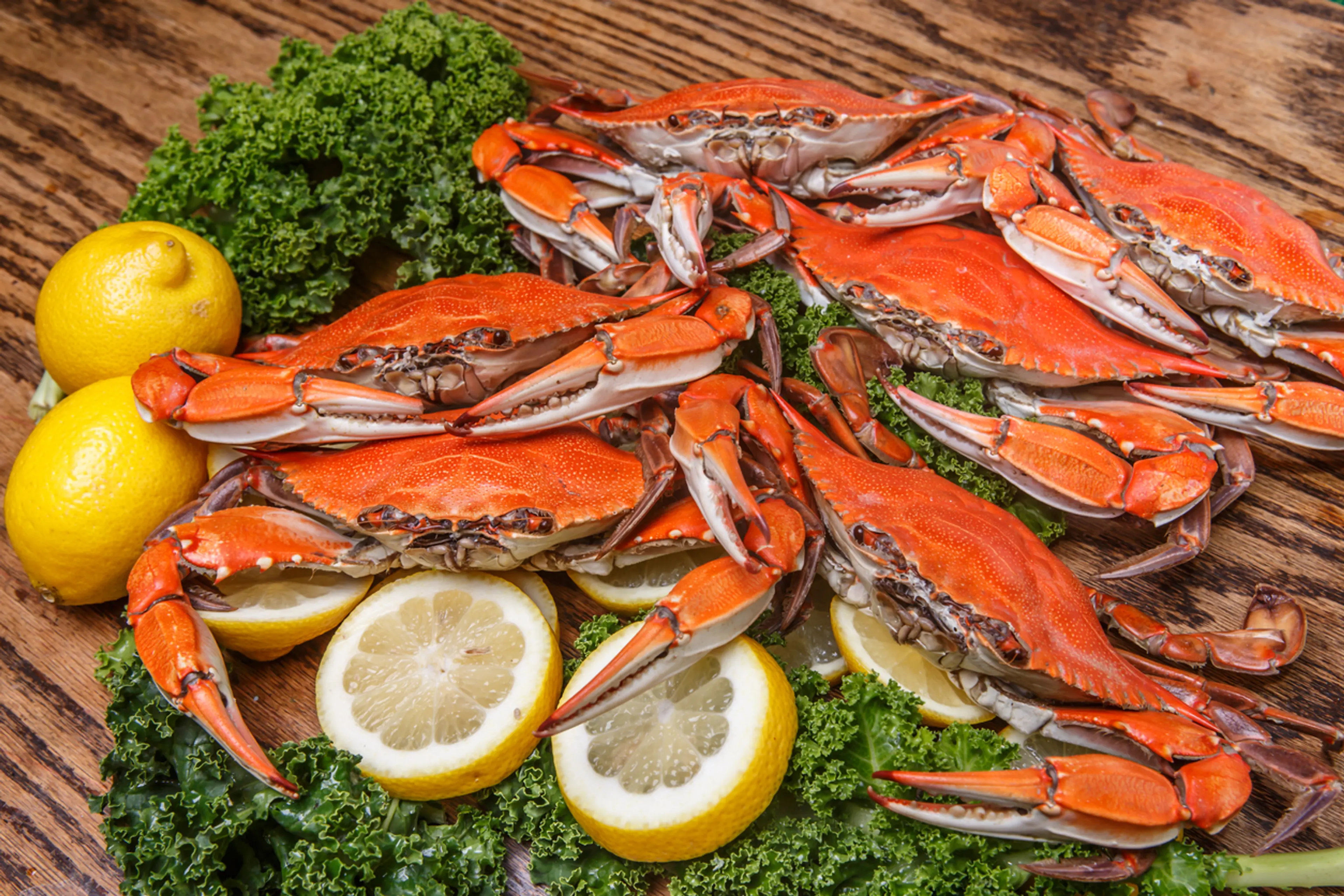 Chesapeake Blue Crabs