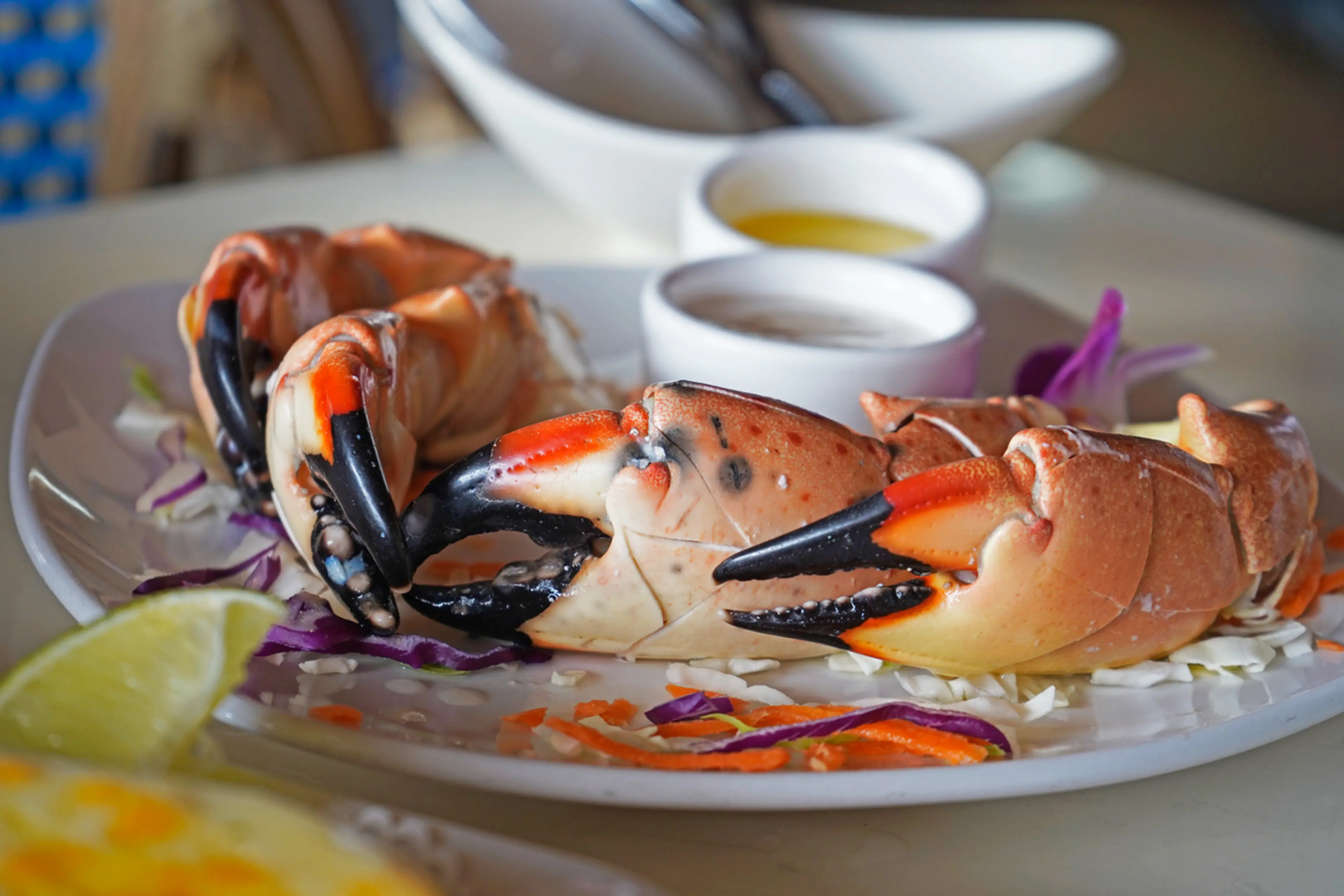 Stone Crab Claws