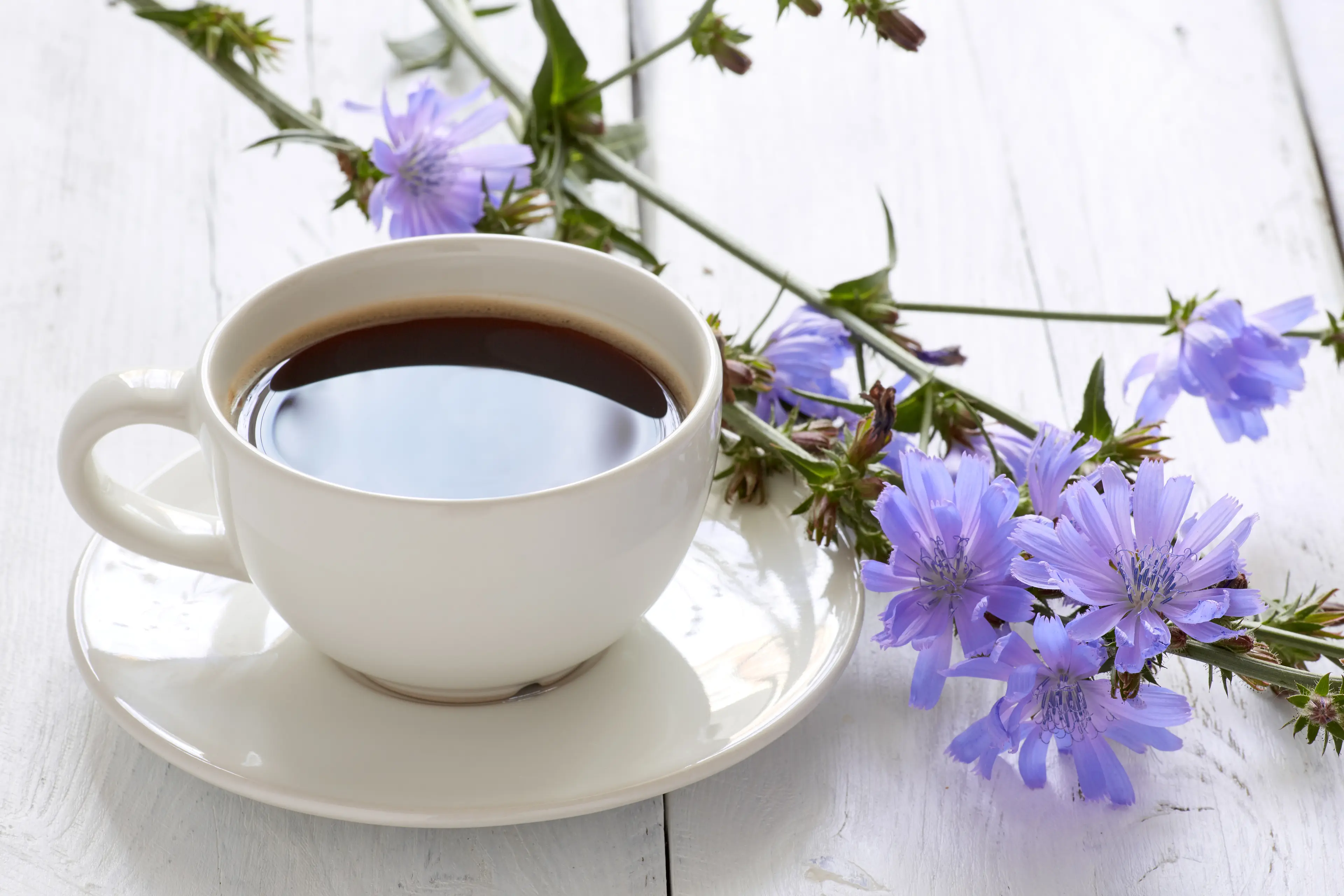 Chicory Coffee