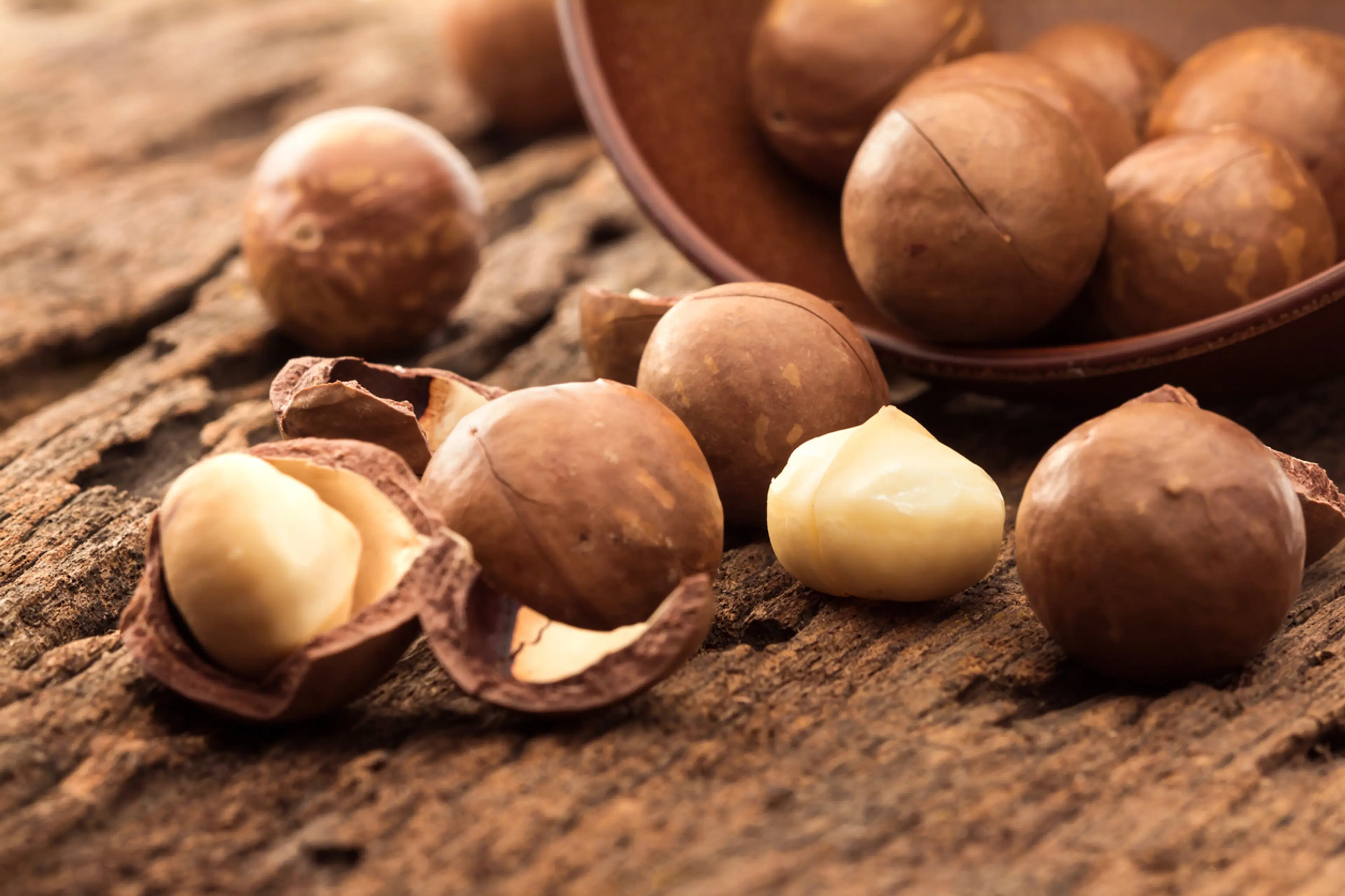Macadamia Nuts