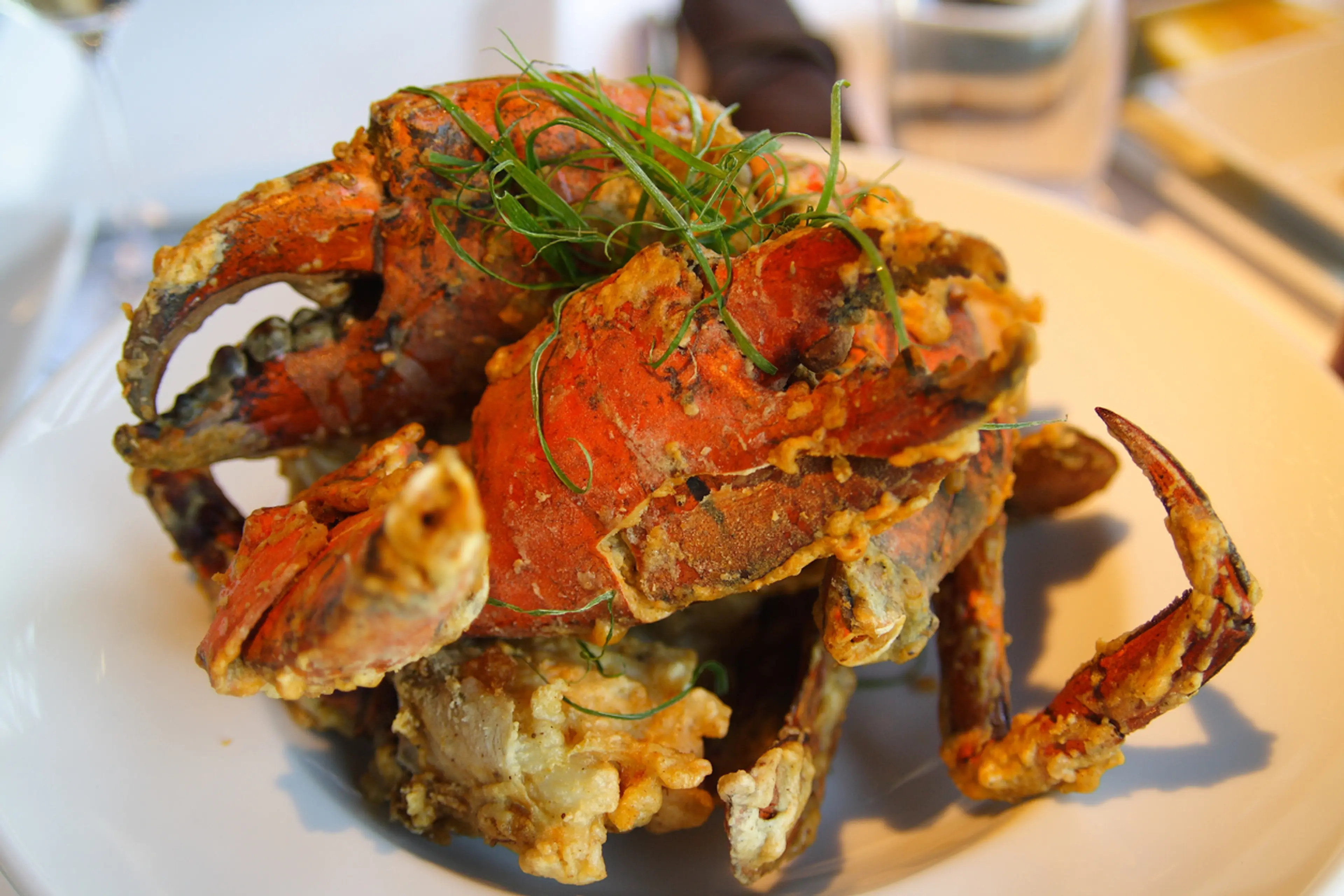 Mud Crab