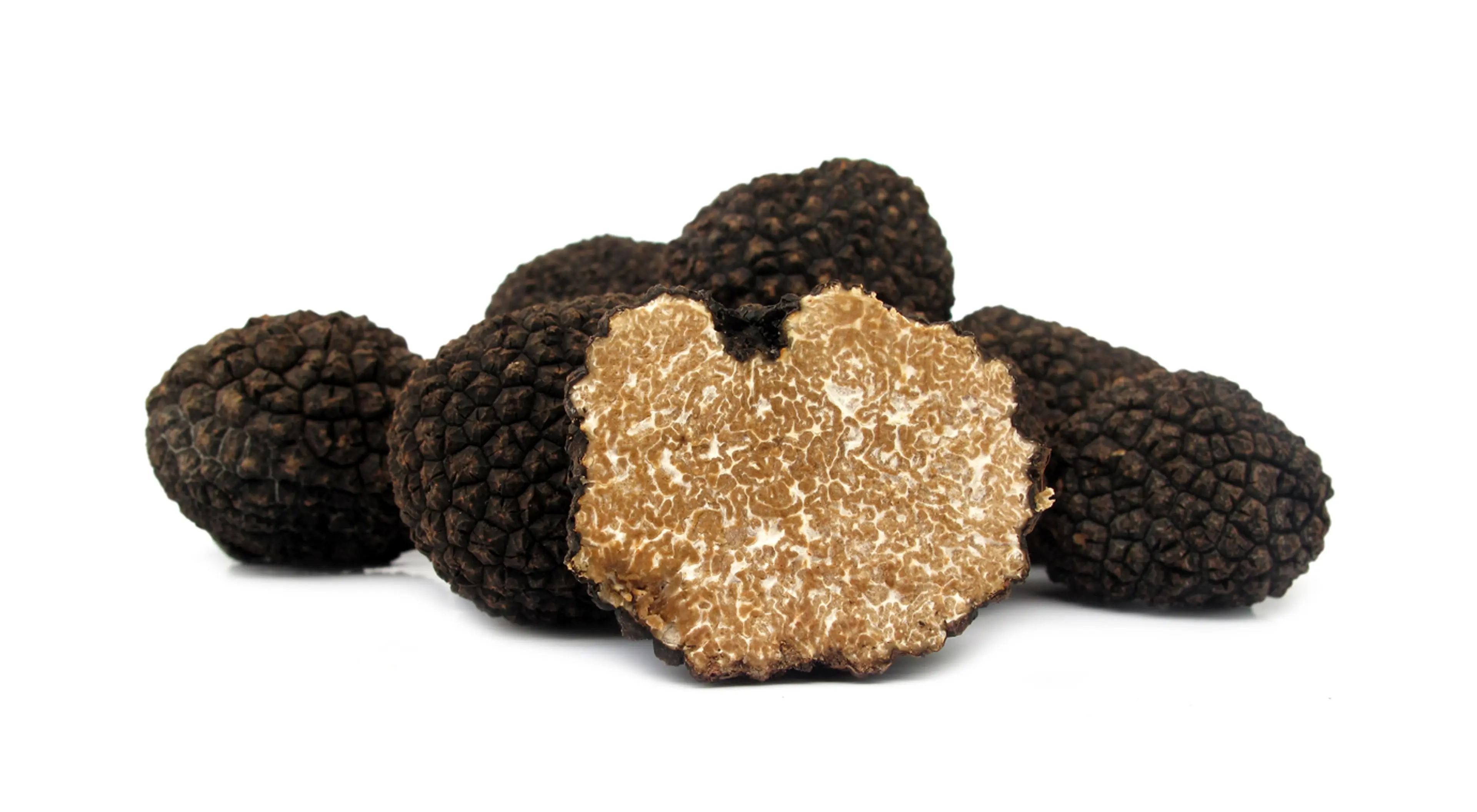 Tasmanian Truffles