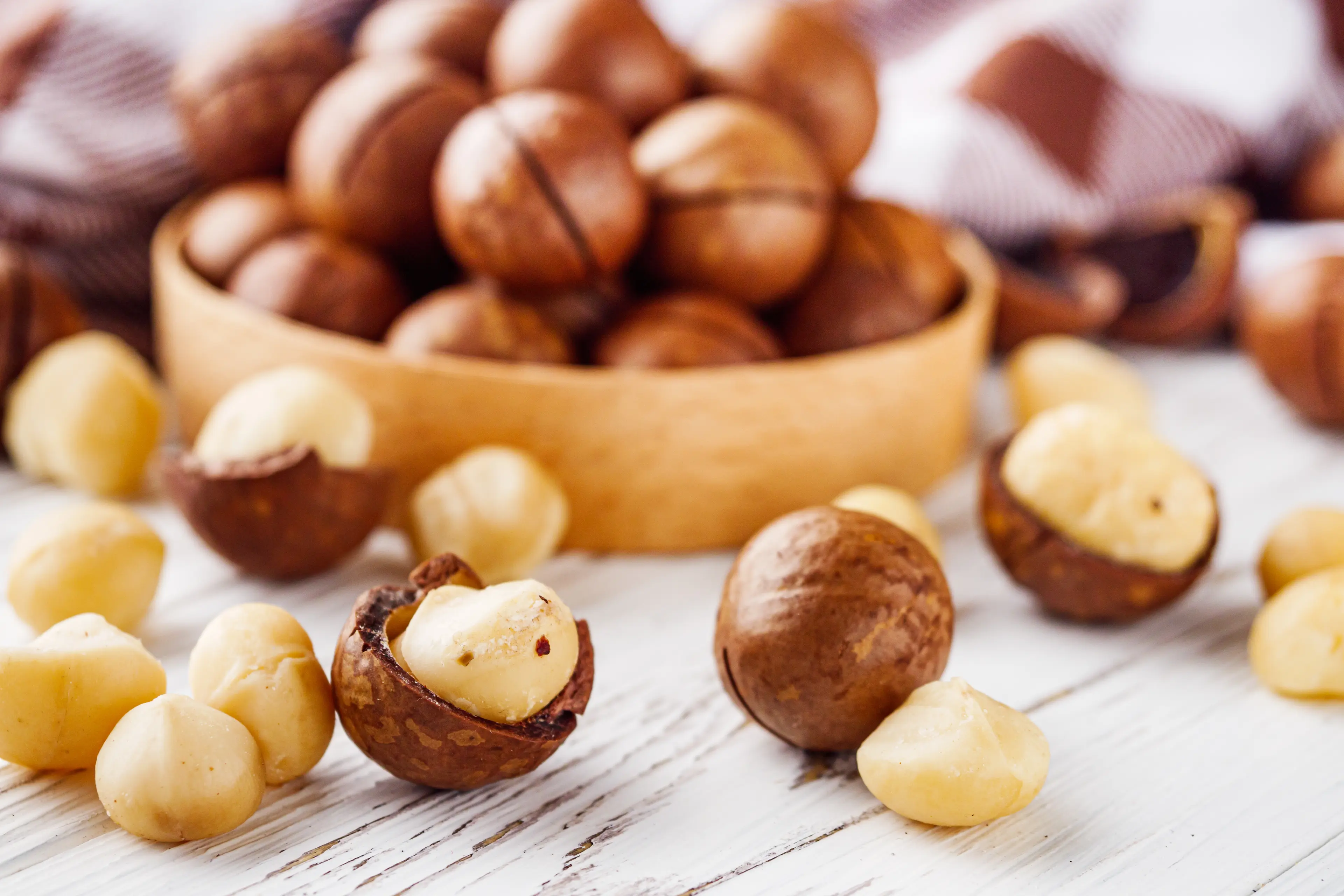 Macadamia Nuts