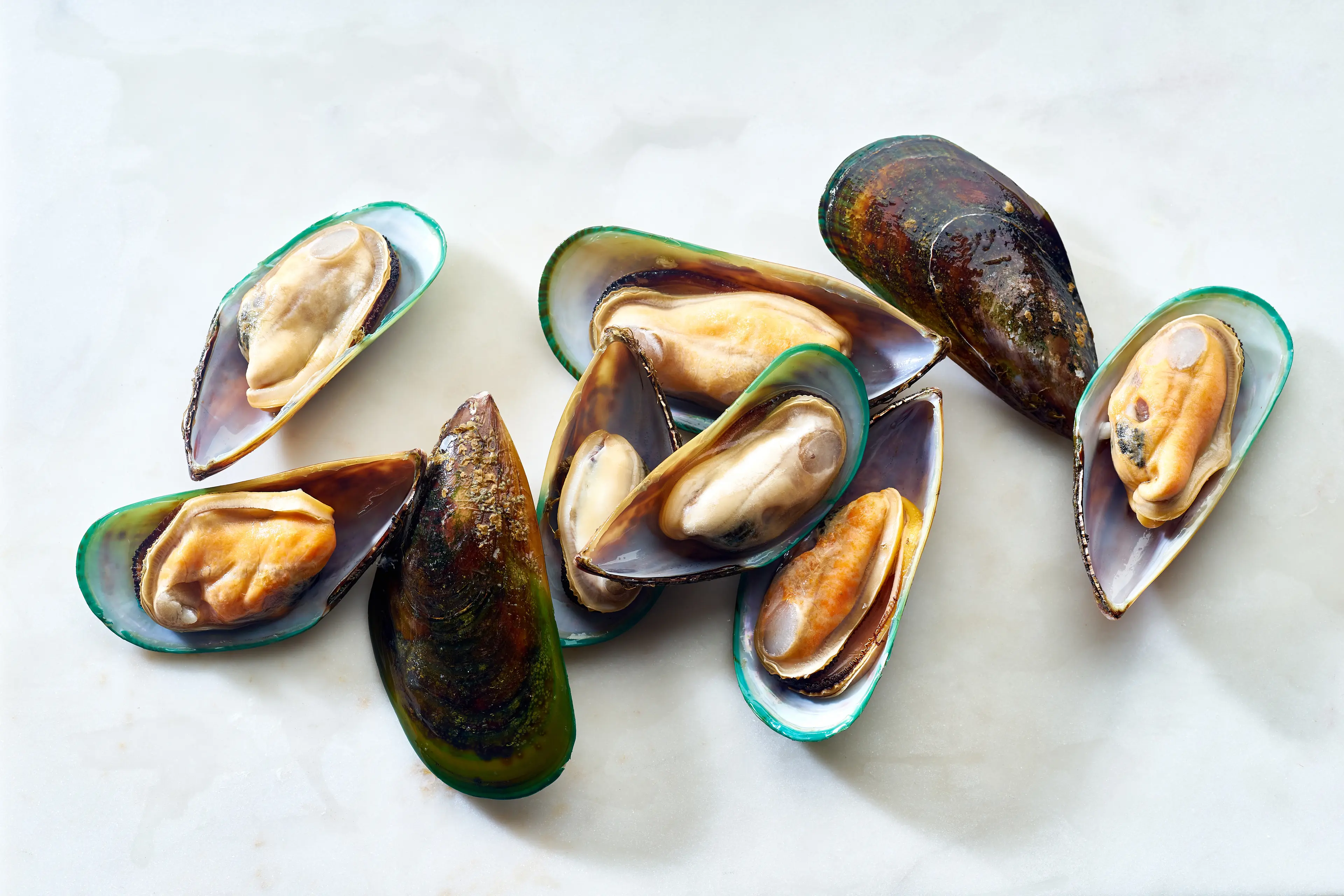 Green-Lipped Mussels