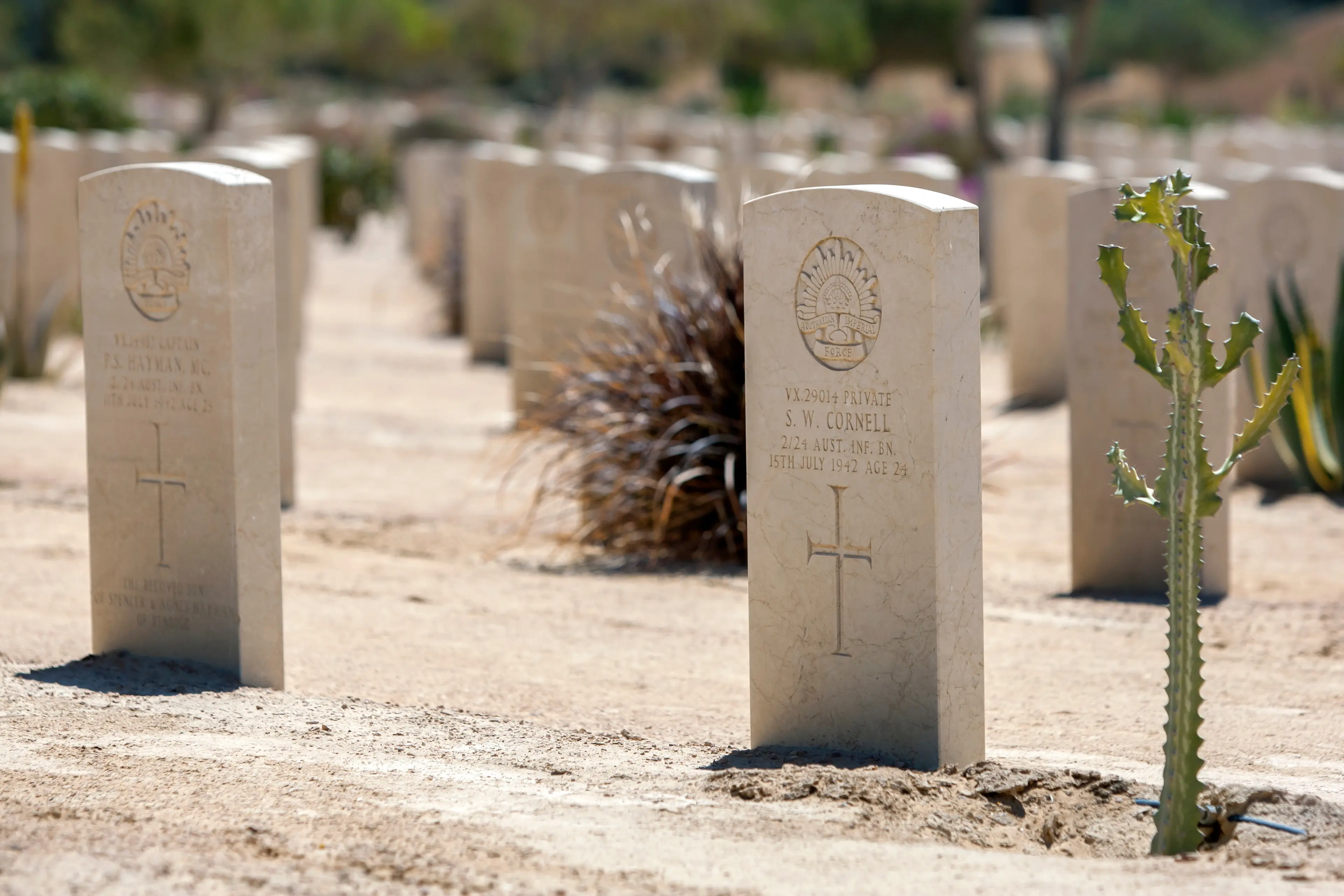 El Alamein Cemetery