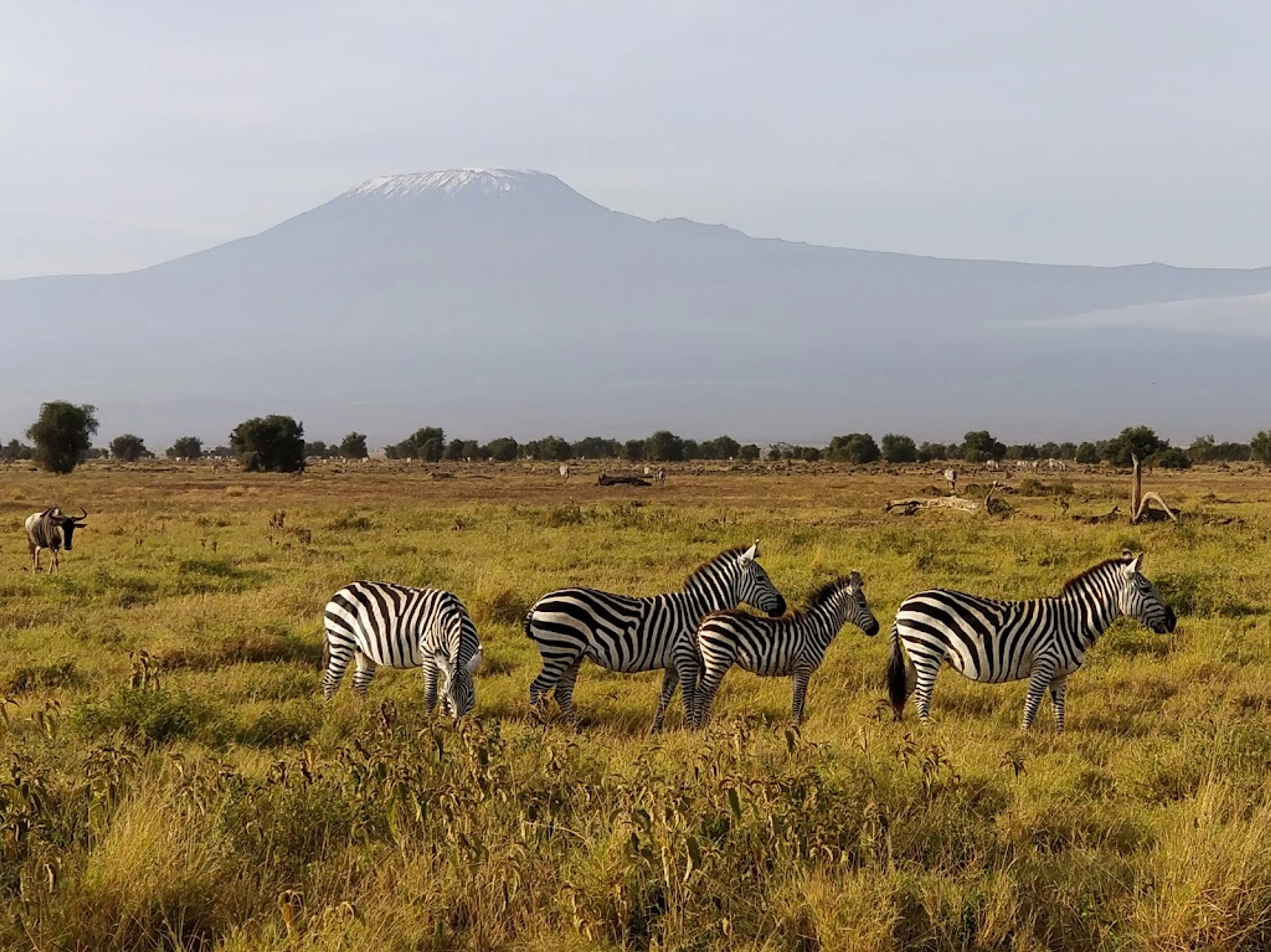 Amboseli National Park