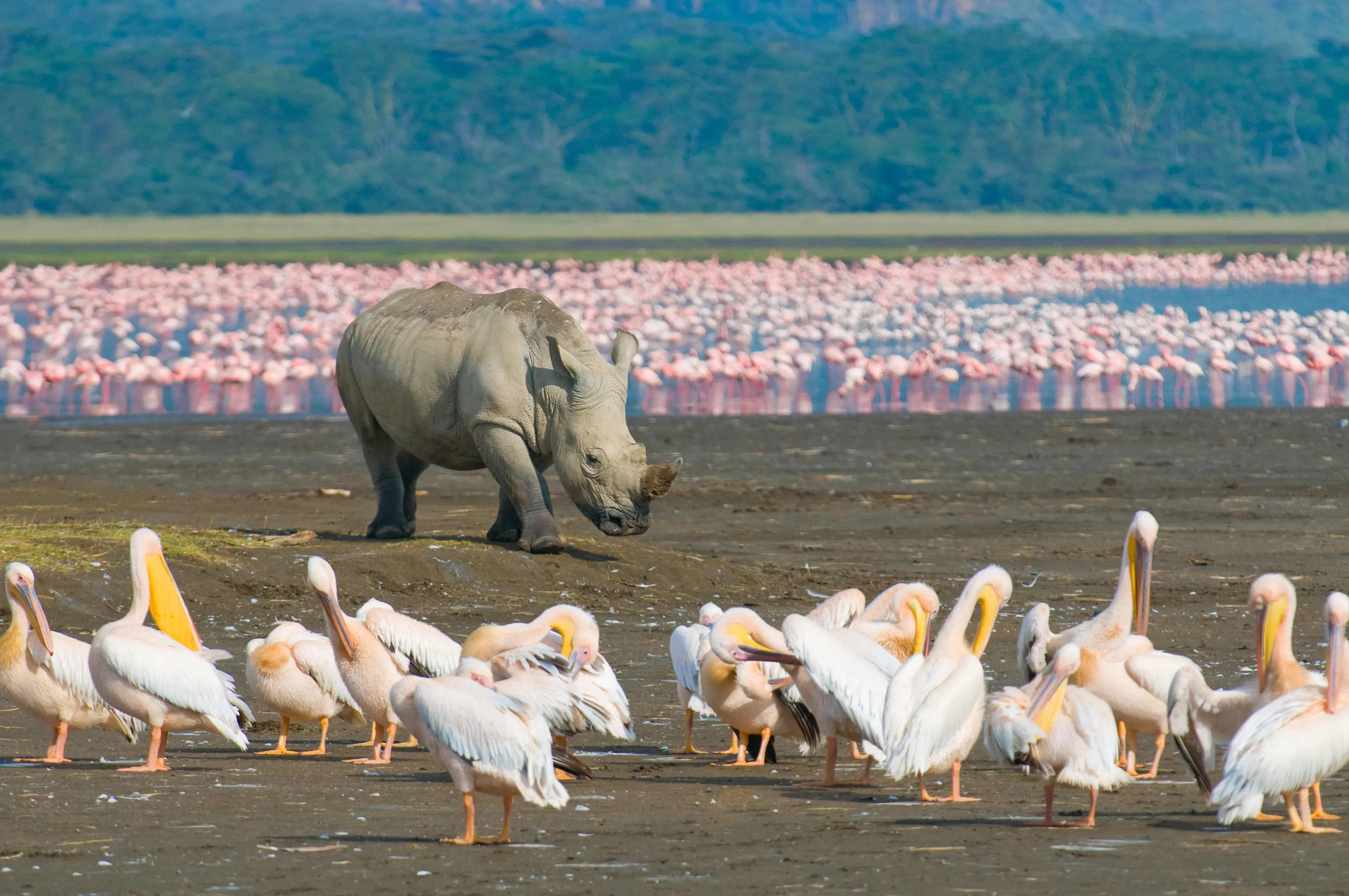 Nakuru