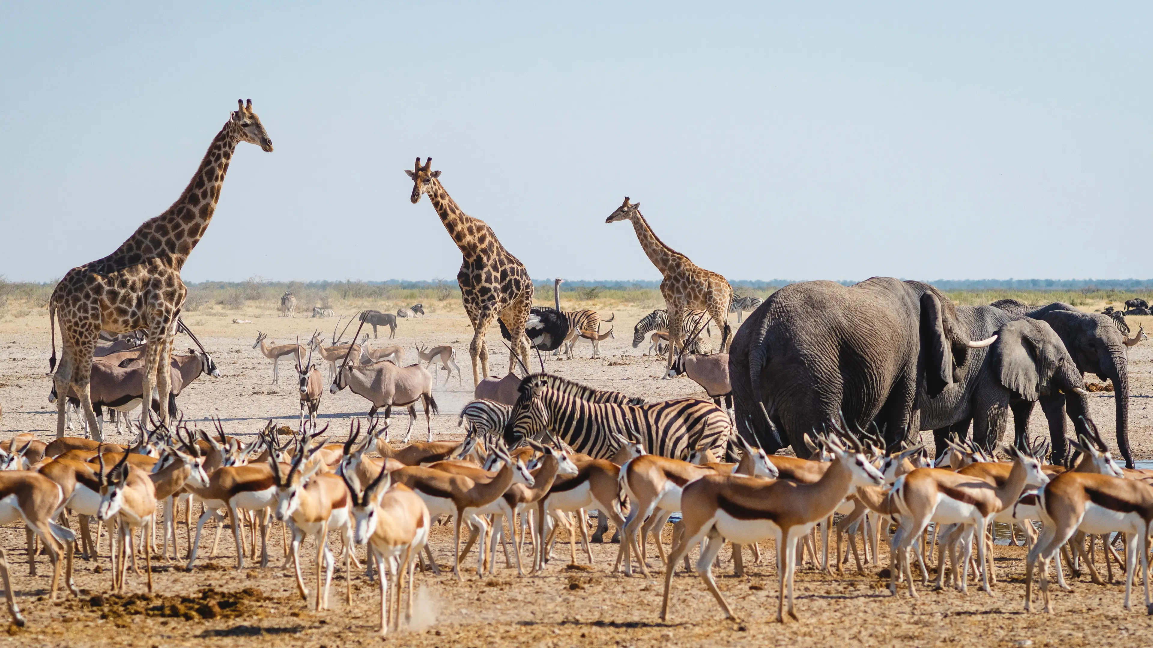 Etosha National Park